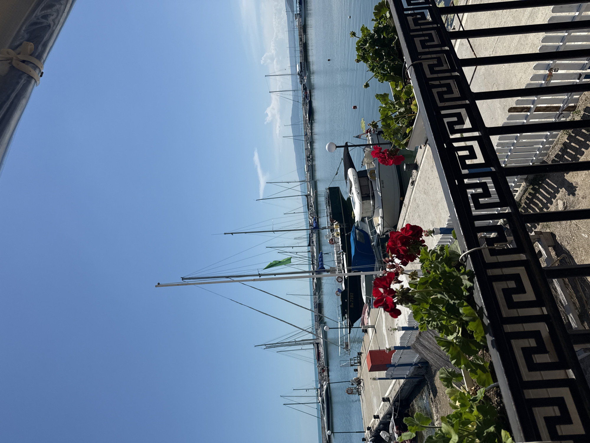 A view of a marina under a clear blue sky shows several sailboats and motorboats docked in the water. The foreground is occupied by a black metal railing with a Greek key pattern, and a planter filled with green leaves and red flowers. Beyond the railing, a concrete pier lines the water's edge, with more boats moored to it. The boats vary in size and style, with some featuring tall masts and sails. The water is calm and reflects the sky. In the background, a distant shoreline with hills is visible.