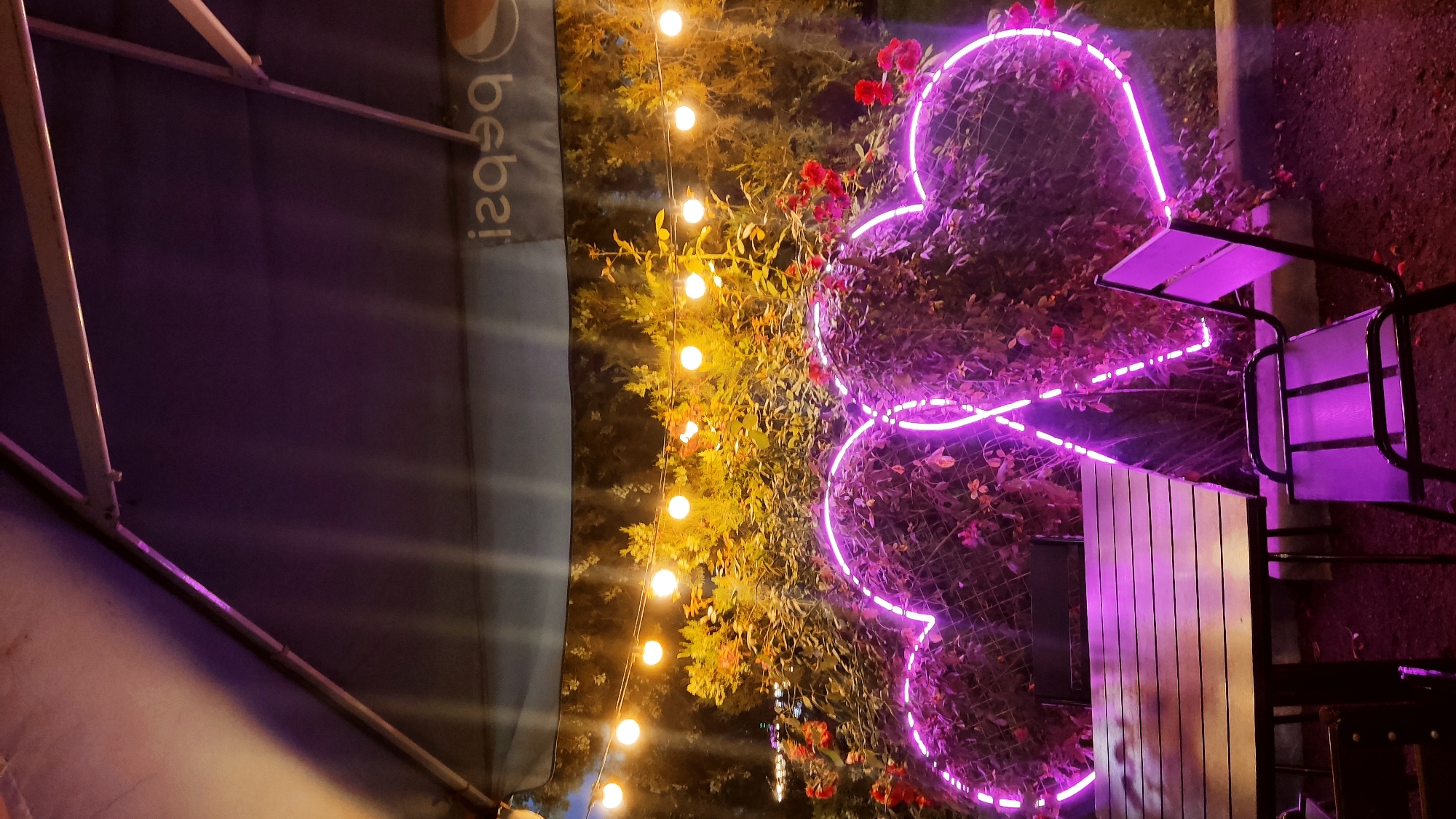 The image captures an outdoor seating area at night, likely a cafe or restaurant, illuminated by decorative lights. In the foreground, a wooden table and several chairs are visible. The chairs appear to be made of metal with purple seating. Behind the table, a lush green hedge is adorned with two large, heart-shaped neon signs glowing in vibrant purple. Red roses are interspersed within the greenery. A string of round, yellow lights hangs above the hedge, creating a warm ambiance. A large dark canopy, possibly part of an umbrella or awning, extends overhead. In the background, a banner with the reversed Pepsi logo is visible. The ground is covered with dark gravel. The overall scene suggests a romantic or festive evening setting in the city of Krasnodar, Russia.