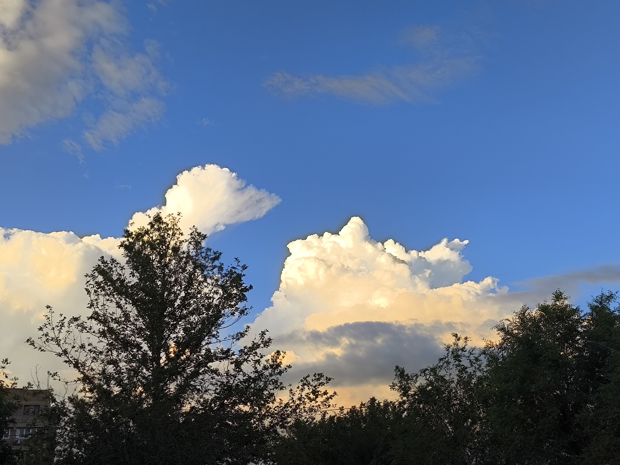 The image captures a vibrant sky over Yerevan, Armenia, with a backdrop of deep blue. Towering cumulus clouds, illuminated with a golden hue by the setting sun, dominate the upper half of the frame. Their fluffy, white forms contrast with darker, shadowed undersides, hinting at impending or passing rain. Silhouetted against this dramatic sky are the dark, leafy canopies of trees, framing the lower portion of the image. To the left, a multi-story building with visible windows peeks through the foliage, suggesting an urban setting. The overall scene evokes the fleeting beauty of a summer evening in the city, with nature's grandeur playing out above the man-made landscape.