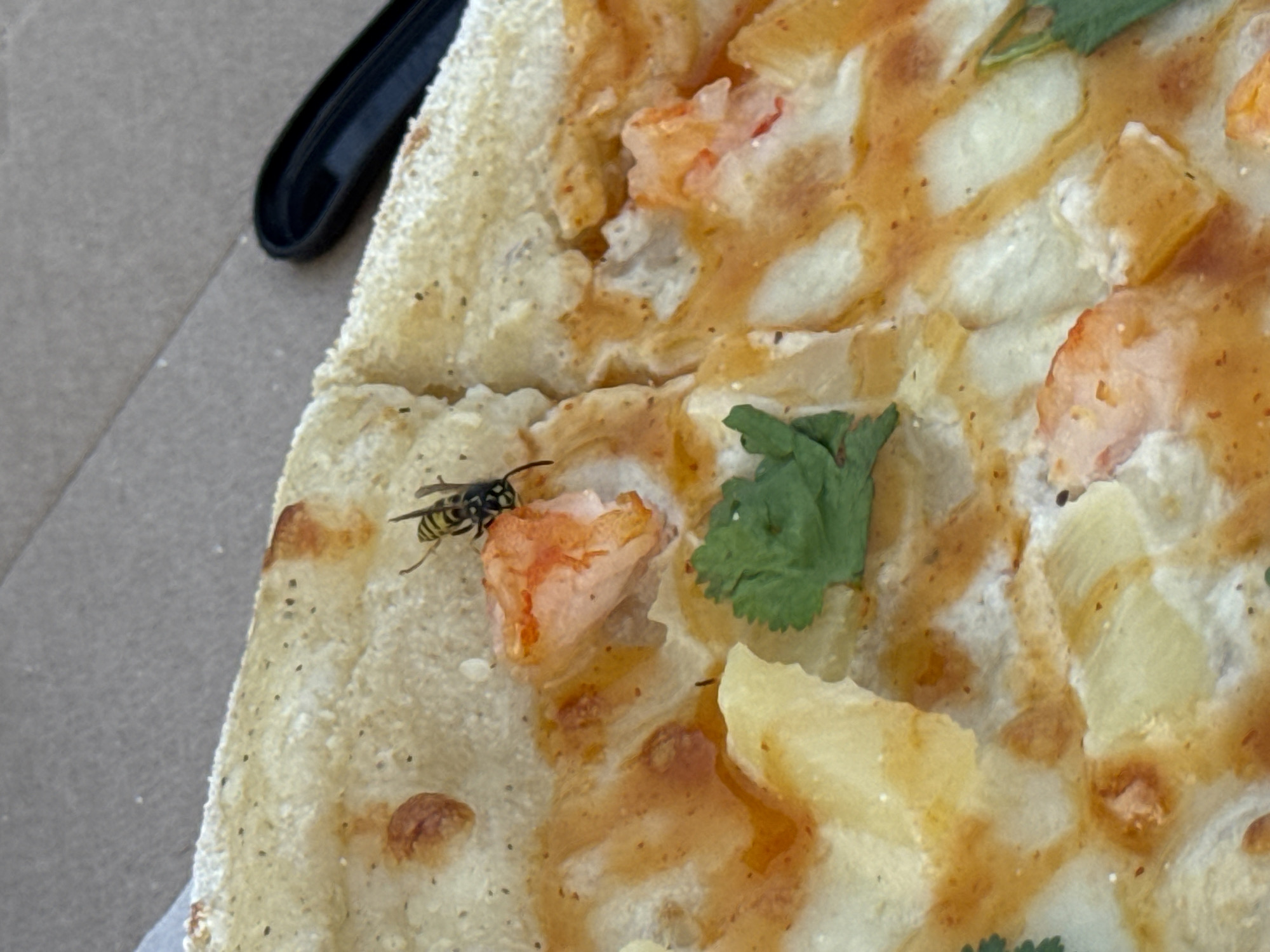 A close-up shot shows a slice of pizza with a wasp on it. The pizza appears to have shrimp and possibly pineapple as toppings, with a cilantro leaf visible as well. A black utensil is partially visible in the upper right corner. The background is blurred and appears to be a brown, textured surface, possibly cardboard. The image provides no information about the location of Tolyatti, Russia.