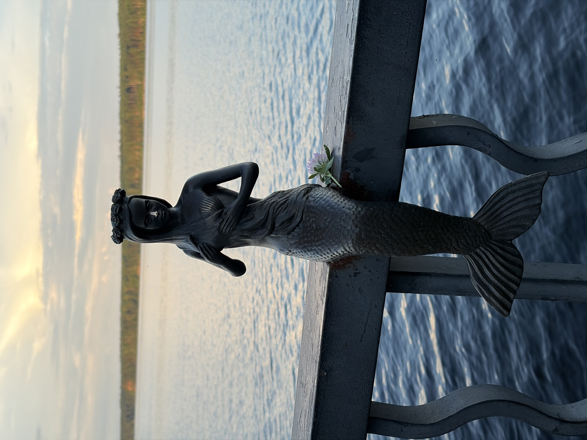 A dark, metallic statue of a mermaid is positioned on a railing overlooking a body of water. The mermaid is depicted from the waist down with a fishtail, and her upper body is partially covered by her arms. She wears a crown of flowers on her head and has a shell design on her chest. A single pink and white flower rests on the railing next to her. The railing is dark gray and has a textured surface. Behind the railing, the water is rippling and reflecting the soft light of a cloudy sky, which has streaks of yellow and orange from the setting sun. A tree line borders the far side of the water. The scene is located on the embankment of the Kama River in the city of Chaikovsky, Russia.