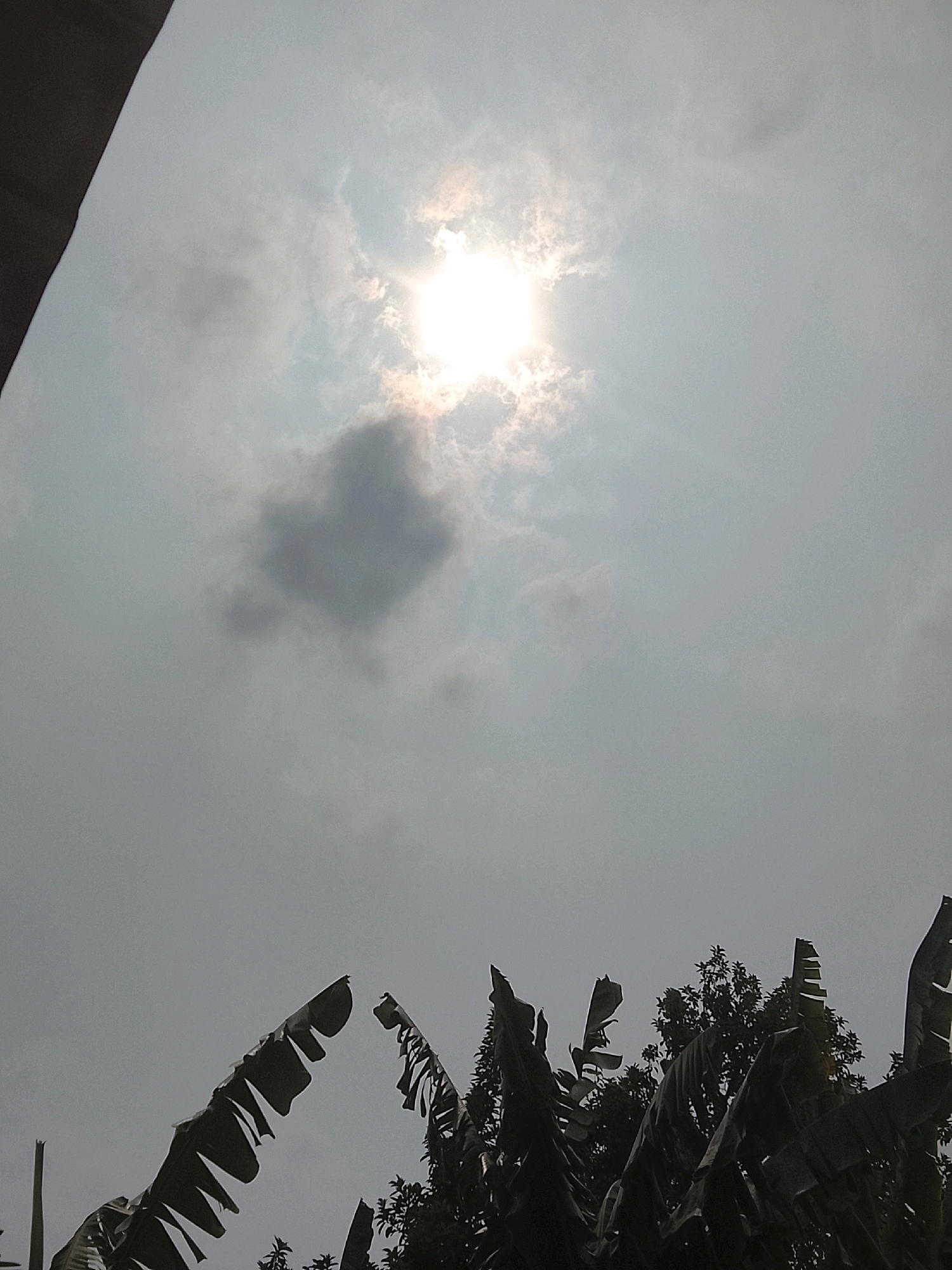 The image captures a sky filled with scattered clouds and the sun peeking through, casting a bright glare. In the foreground, the silhouettes of several banana tree leaves are visible, some appearing tattered. To the right, the dark foliage of other trees can be seen. The bottom left corner shows a dark, angled object, possibly part of a roof or structure. The overall lighting suggests it is daytime, with the sun partially obscured by clouds. The scene appears to be outdoors, likely in a tropical or subtropical environment given the presence of banana trees. The context of Slawi, Indonesia, implies a location with warm weather and lush vegetation.