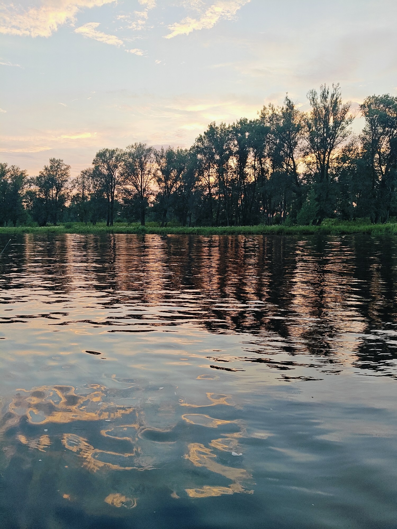 A serene waterscape captures the tranquil beauty of a river at dusk, likely near the village of Noviy, Russia. The sky is a canvas of soft hues, painted with pale pinks and oranges, transitioning into a gentle blue as streaks of clouds drift across the horizon. The setting sun casts a warm glow, illuminating the sky and its reflection on the water's surface.
A dense line of trees forms a dark silhouette against the fading light, their branches reaching towards the sky. The river, a dark expanse, mirrors the trees and the sky with remarkable clarity, though the rippling water distorts the reflections into abstract patterns of light and shadow. The foreground is dominated by the water, with subtle waves creating a textured surface. No people or animals are visible in the scene, emphasizing the quiet solitude of the natural environment. The overall impression is one of peacefulness and the subtle drama of a sunset over water.