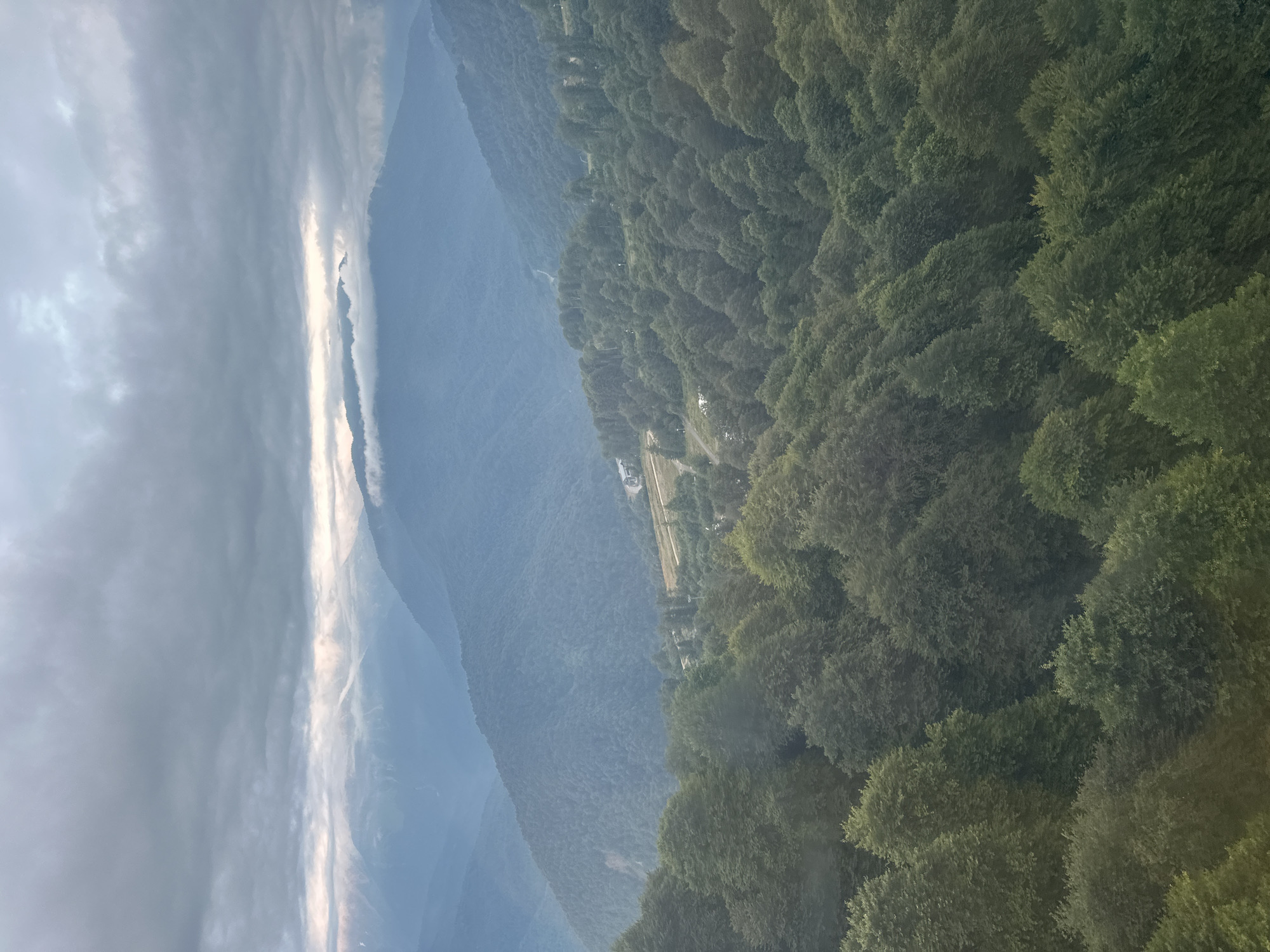 The image is a landscape photograph taken from a high vantage point, likely a mountain cable car or a hiking trail, overlooking a forested mountain range. The foreground is dominated by dense, dark green trees, with their foliage filling the lower half of the frame. As the eye moves towards the background, the density of the trees lessens, revealing the undulating slopes of the mountains.
In the middle ground, a few scattered buildings and winding paths are visible amidst the trees, suggesting a developed area within the natural landscape. The further mountains recede into a hazy, bluish distance, with layers of peaks disappearing into the atmospheric perspective. The sky is overcast with thick, gray clouds, and a sliver of pale sunlight breaks through the clouds in the upper central portion of the image, casting a soft glow on the distant mountain peaks.
The location is identified as Estosadok, Russia, a resort town in the Krasnodar Krai region, known for its mountain scenery and ski resorts. The image captures the natural beauty of the Caucasus Mountains in this area, under a moody, cloudy sky. There are no people or animals visible in the photograph. The overall impression is one of serene, vast natural beauty with hints of human presence integrated into the landscape.