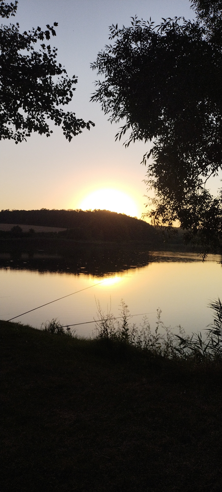 The image depicts a tranquil sunset over a body of water, likely a lake or river, in Vysokopillia, Ukraine. The sun, a brilliant orb, is partially obscured by a silhouetted hill covered in vegetation. Its golden light reflects across the calm surface of the water, creating a shimmering path. The foreground is dominated by dark silhouettes of trees with intricate leaf patterns framing the sky. On the bank of the water, faint outlines of fishing rods suggest a peaceful pastime. The overall scene evokes a sense of natural beauty and serenity at dusk.