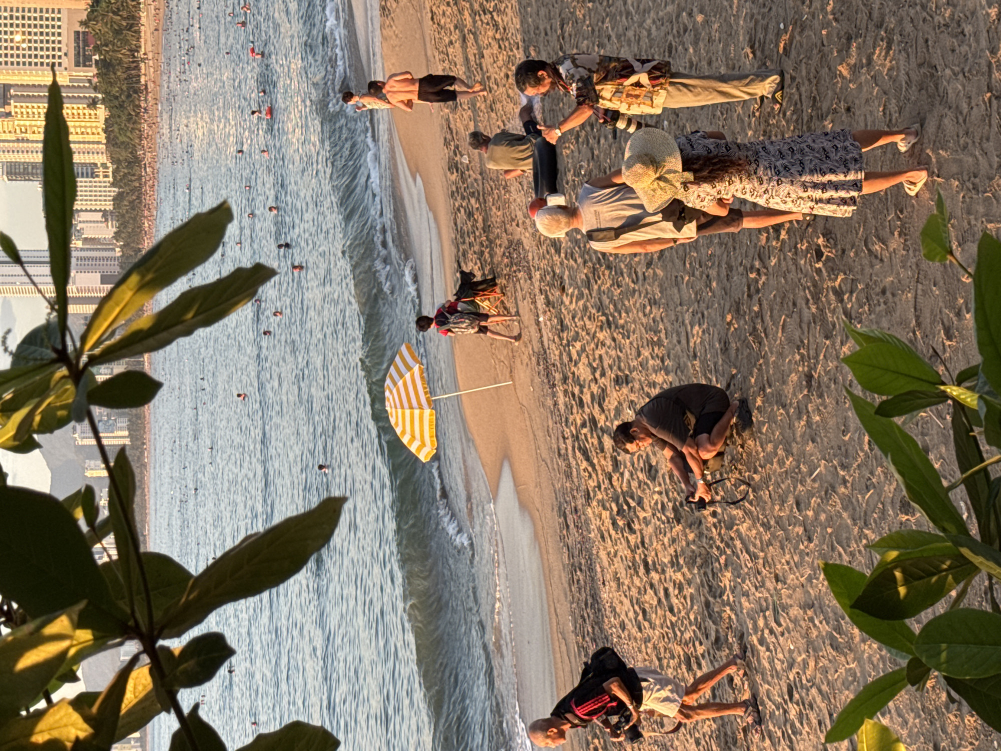 This image shows a crowded beach in Nha Trang, Vietnam, during what appears to be late afternoon or early evening, as indicated by the warm, golden light. The foreground is partially obscured by lush green foliage, suggesting a viewpoint from a balcony or elevated position overlooking the beach.
In the middle ground, several individuals are present on the sandy beach. A man in a black shirt with red accents and white shorts walks from left to right, carrying a camera bag over his shoulder and a camera in his hand. To his right and slightly further back, another man is crouched down, holding a camera and appearing to take a photograph.
Further to the right, a group of people are gathered. One person, wearing a grey tank top, stands facing away from the camera. Next to them is a person wearing a patterned dress and a wide-brimmed straw hat, also facing away. To the right of these two, a person in a colorful shirt and light-colored pants stands with their back to the camera, holding a black object.
In the background, the sea is dotted with numerous people swimming and enjoying the water. The shoreline is lined with a dense strip of palm trees and the distinctive tall, modern buildings characteristic of Nha Trang's coastal skyline. A yellow and white striped umbrella stands on the sand near the water's edge. The overall scene depicts a vibrant beach activity with a mix of locals and tourists.