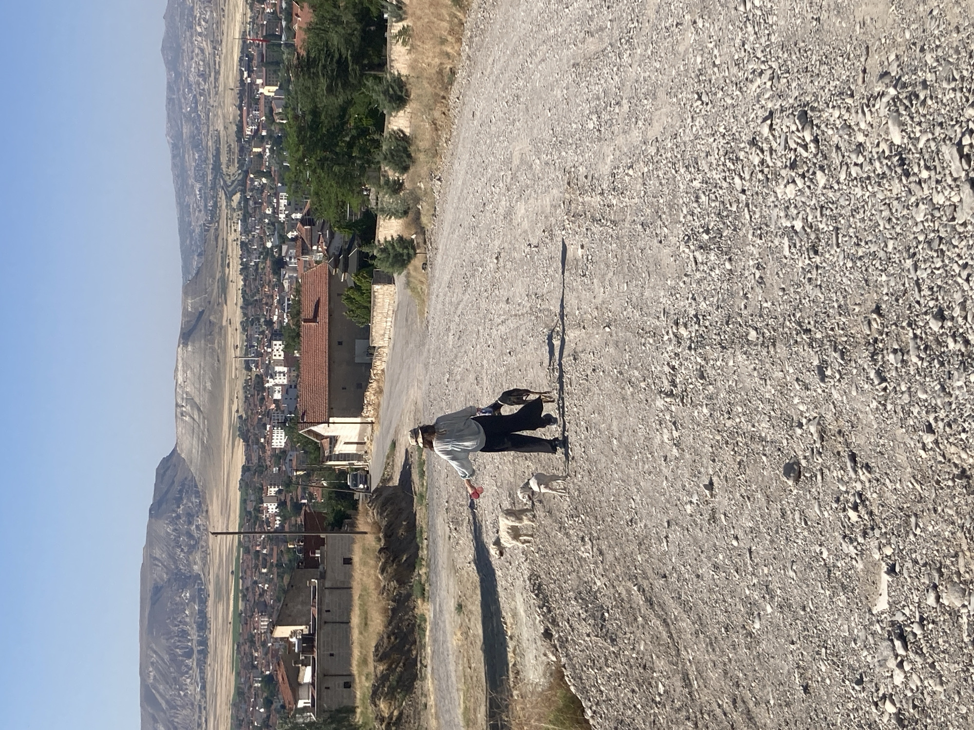 In Avanos İlçe Merkezi, Turkey, a person wearing a hat, light-colored long-sleeved shirt, dark pants, and sneakers walks along a gravel road. The individual is holding a leash attached to two dogs: a black and tan dog with a dark collar and a light-colored dog. A third, light-colored dog walks ahead of the person. The road curves uphill and is surrounded by dry grass and sparse vegetation. In the background, a town with red-tiled roofs and buildings of various sizes stretches towards a distant, eroded mountain range under a clear blue sky. The overall impression is a sunny, arid landscape with a rural or semi-rural setting.