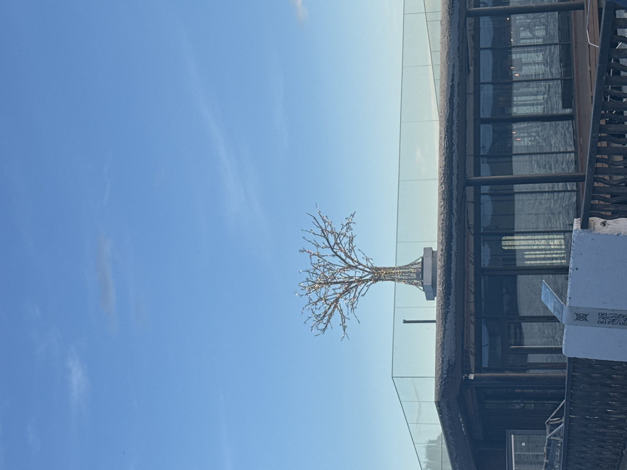 This image depicts a scene in the city of Votkinsk, Russia, featuring a contemporary building with large windows and a glass railing on its rooftop. Atop the building, an illuminated artificial tree with delicate branches adorned with small lights stands prominently against a clear blue sky with faint wispy clouds. The building appears to be situated near a body of water, as reflections are visible in its windows. In the foreground, a dark-colored railing is present, and a white concrete structure with a QR code is also visible. The overall atmosphere suggests a modern architectural setting in an urban environment, possibly a restaurant or entertainment venue.