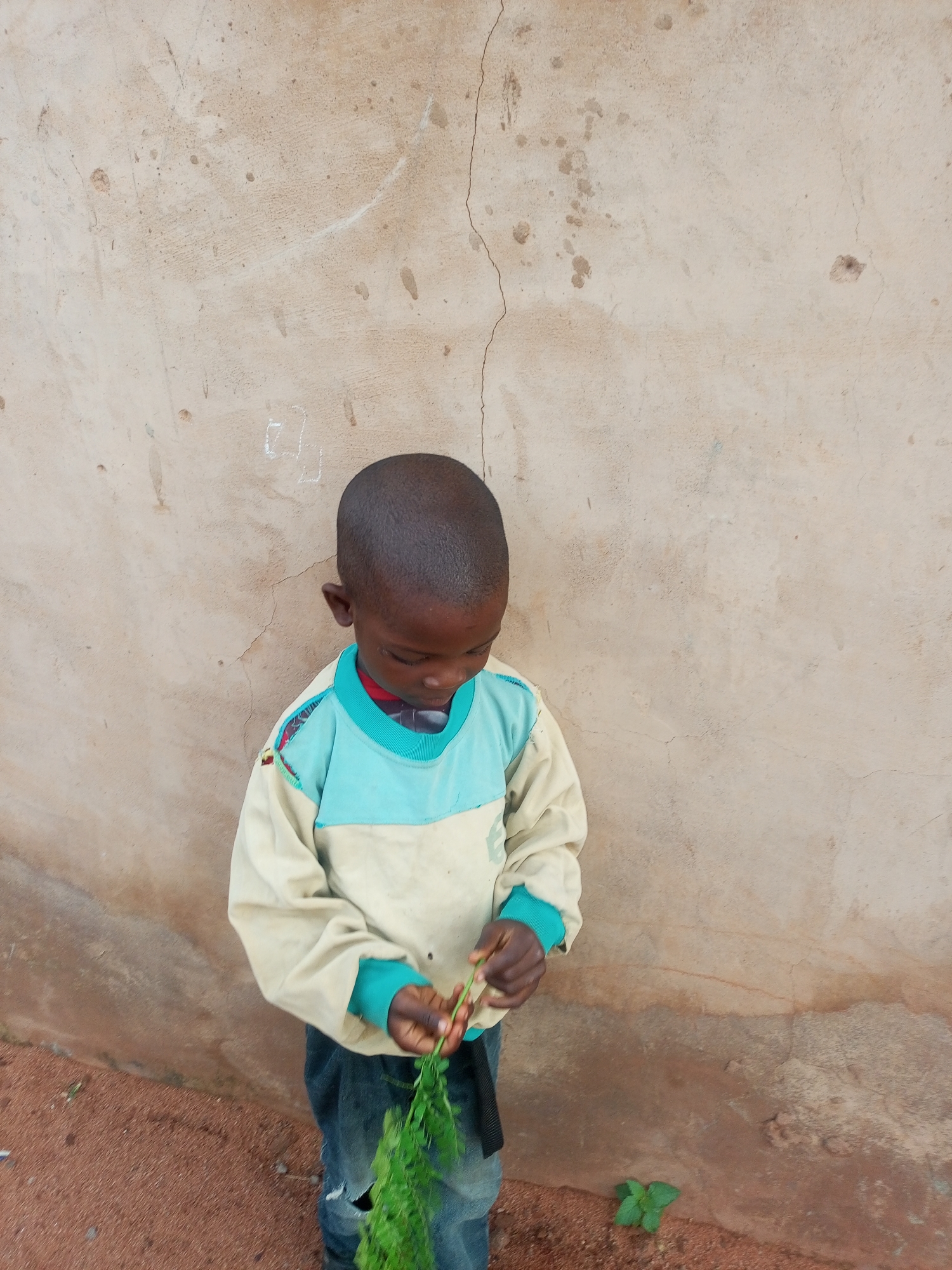 A young Black boy stands in front of a textured, light brown wall with some dark, patchy stains and cracks. He is looking down at his hands, which are holding a small bunch of green leafy plants. He is wearing a light yellow long-sleeved shirt with light blue panels on the shoulders and cuffs, and dark denim jeans that appear ripped at the knee. The ground in front of the wall is covered in reddish-brown soil and gravel, with a small green plant growing near the bottom right corner of the frame. The image appears to have been taken outdoors in what might be a rural or less developed area of Tempure, Nigeria, given the wall texture and ground material.
