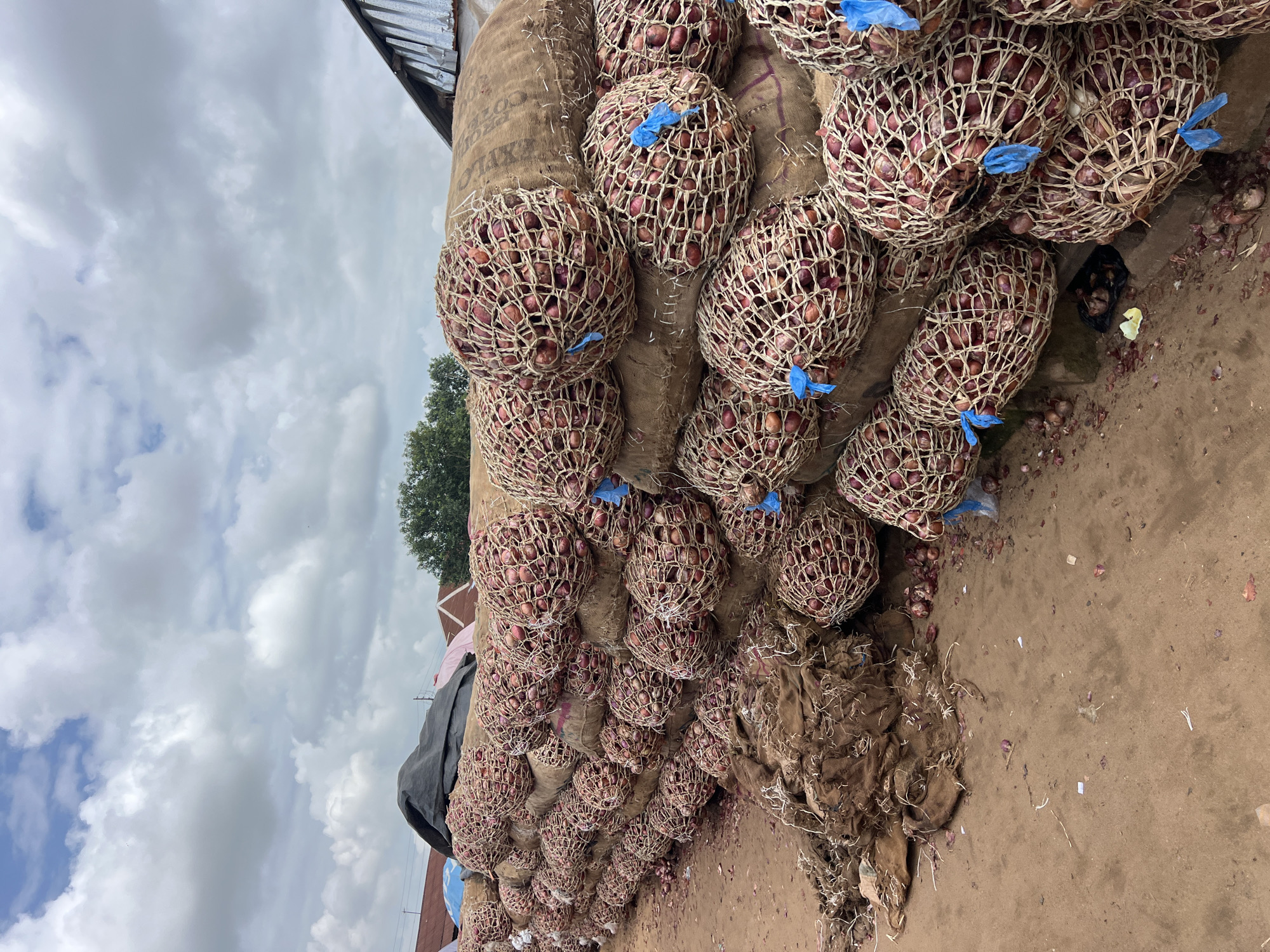 In the city of Oko Amakom, Nigeria, a large outdoor storage area is filled with sacks of onions. The sacks, made of burlap, are stacked in a towering wall, some of which are enclosed in net bags to hold the onions. The onions themselves are a deep red color and are visible through the netting. Some sacks are also covered with dark tarpaulin. The ground is dirt and appears to be a market or storage yard, with scattered onion skins and debris. In the background, buildings with corrugated metal roofs and a cloudy sky are visible. The scene suggests a commercial agricultural setting, likely a wholesale market or a collection point for produce.