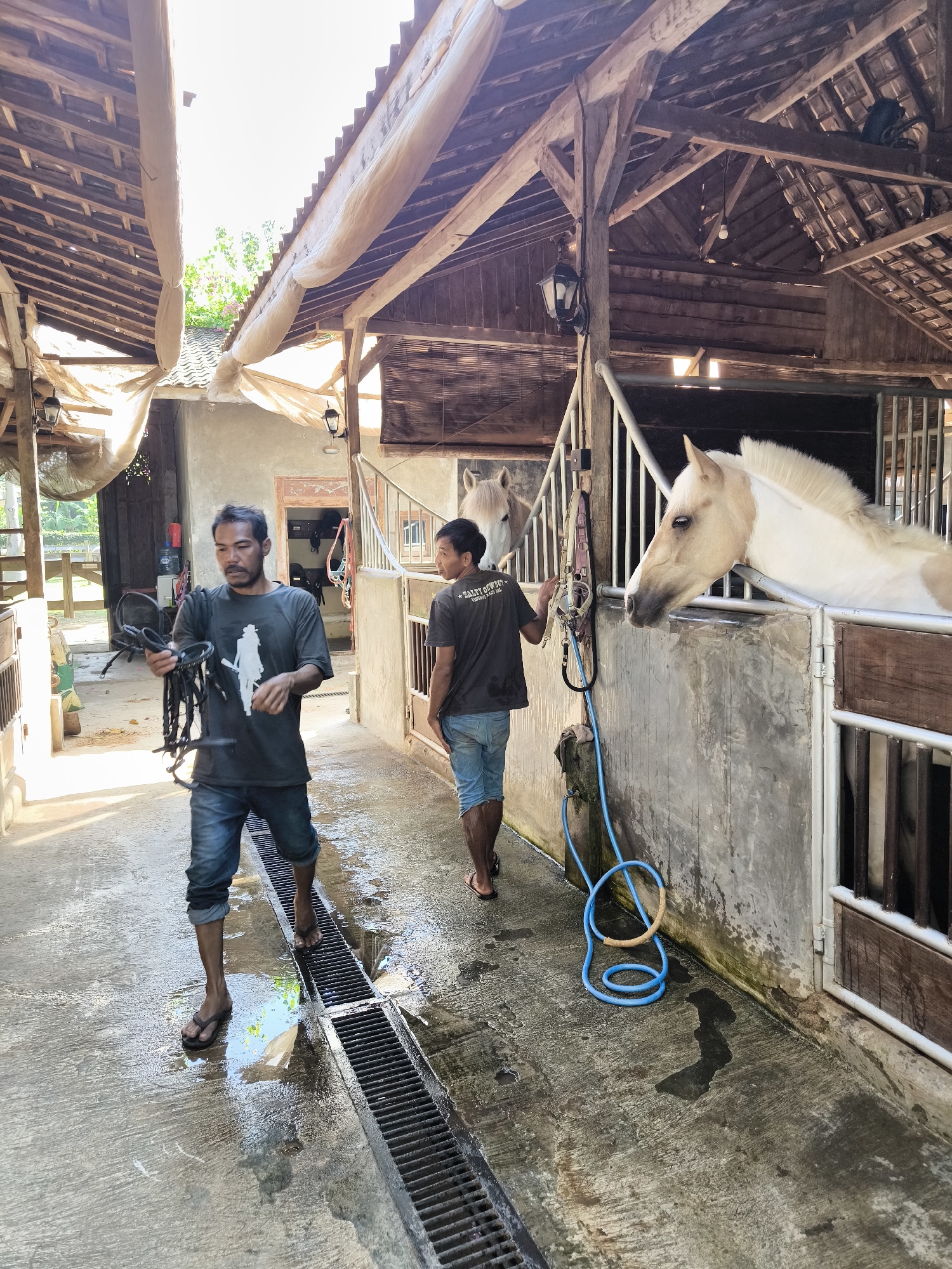 Two men are in a horse stable in Kediri, Indonesia. The man in the foreground, wearing a dark t-shirt and denim shorts, holds a black horse bridle in his hands. He is looking down at the bridle. The second man, wearing a dark t-shirt and denim shorts, stands in the background to the right, facing away from the camera and towards a horse in a stall. The stable has a wooden roof with visible beams and supports, and concrete walls. A blue hose is coiled on the ground near the second man. The ground is wet and appears to be a concrete walkway with a drain. Two horses are visible in stalls; one in the foreground stall is a pale horse with a white mane and tan markings, and another horse is visible further in the background. The overall environment suggests an active stable or equestrian facility.