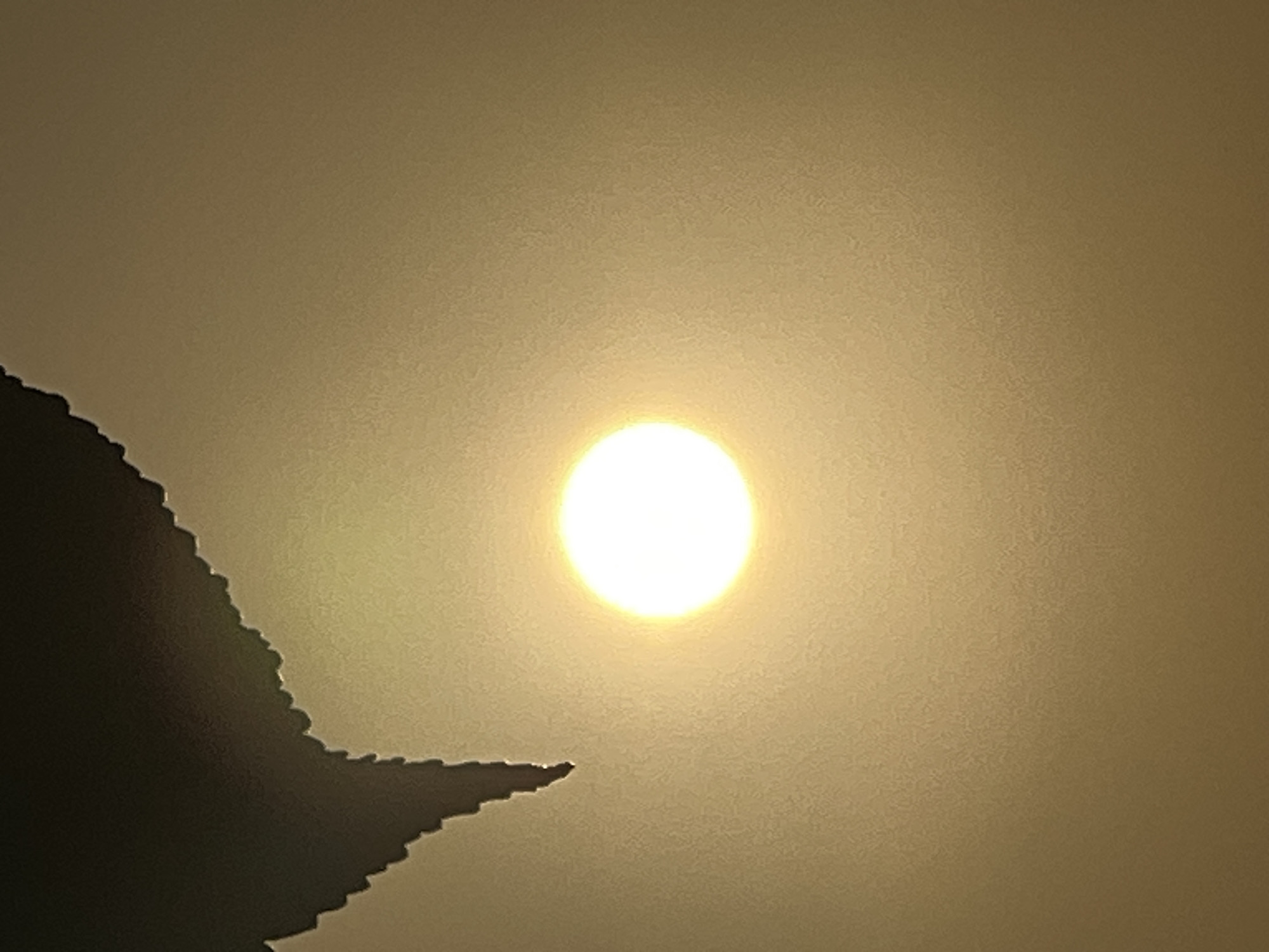 A bright, round sun is centered in a hazy, golden sky. The upper left corner of the frame is dominated by the silhouette of a dark, leaf-like object with a serrated edge. The rest of the image consists of the sun and sky. The overall impression is of a sunset or sunrise viewed through atmospheric haze. This scene may be located in Kuta, Indonesia, a popular tourist destination known for its beaches and sunsets.