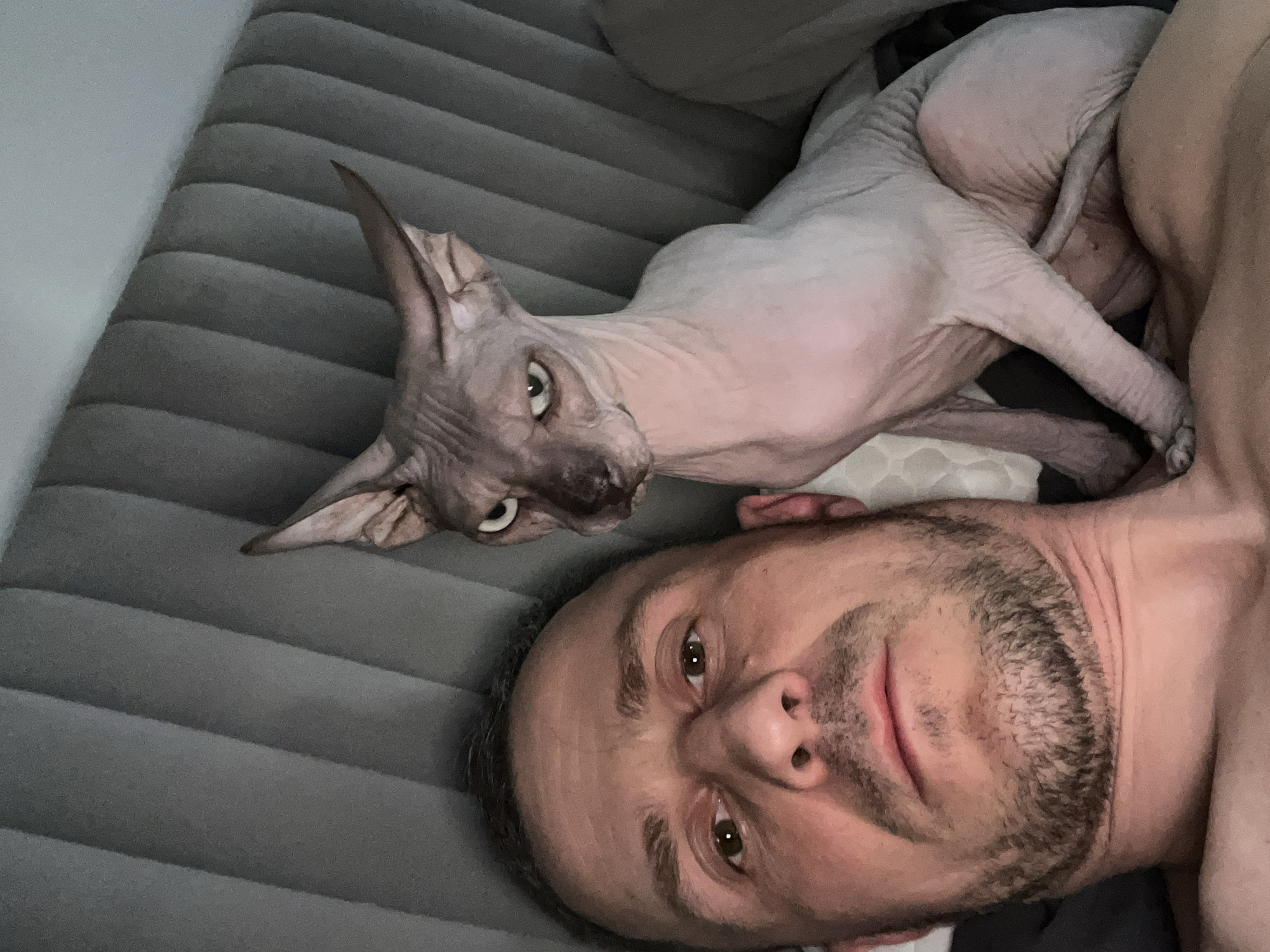A man and a sphynx cat are lying on a gray, horizontally striped sofa or bed. The man has light skin, dark hair, and a trimmed beard. He is looking directly at the camera. The cat is positioned above the man's head, also looking at the camera with its large ears pointing upward. The environment appears to be indoors. There is no indication of the location being in Krasnodar, Russia.