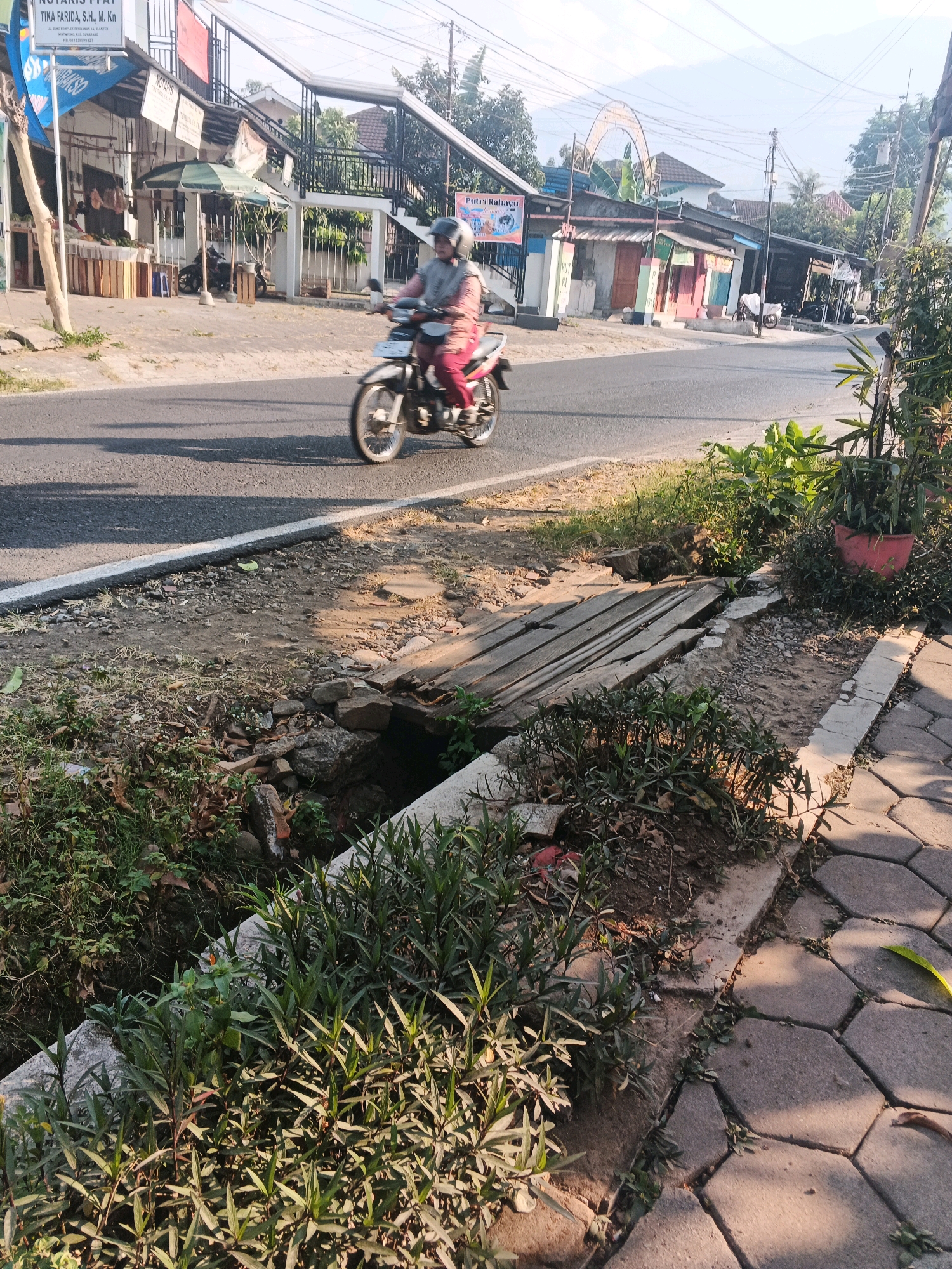 An outdoor shot captured in Ungaran, Indonesia, showcases a street scene bathed in the warm glow of late afternoon sun. In the foreground, a narrow, overgrown ditch runs alongside a paved sidewalk, its concrete edge crumbling slightly. A makeshift bridge of weathered wooden planks spans the ditch, appearing somewhat precarious. Lush green foliage spills from the ditch and from a large, pink potted plant situated on the sidewalk. A person, wearing a helmet and pink pants, rides a motorcycle down the asphalt road, casting a long shadow. The road is bordered by a white line and an area of gravelly earth. In the background, a row of buildings with various colored facades lines the street, some featuring awnings and signs, suggesting commercial establishments. The distant backdrop is a hazy landscape of hills and trees, under a clear sky. The overall impression is one of a typical, everyday street in a town where nature and infrastructure are in close proximity.