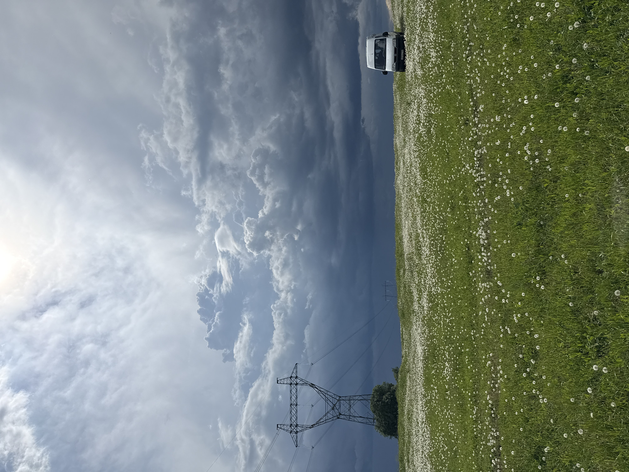 The image shows a field of dandelions in Nazyar, Russia, with a white van parked on the edge. Overlooking the field is an electric power transmission tower, set against a cloudy sky with both bright and dark storm clouds.