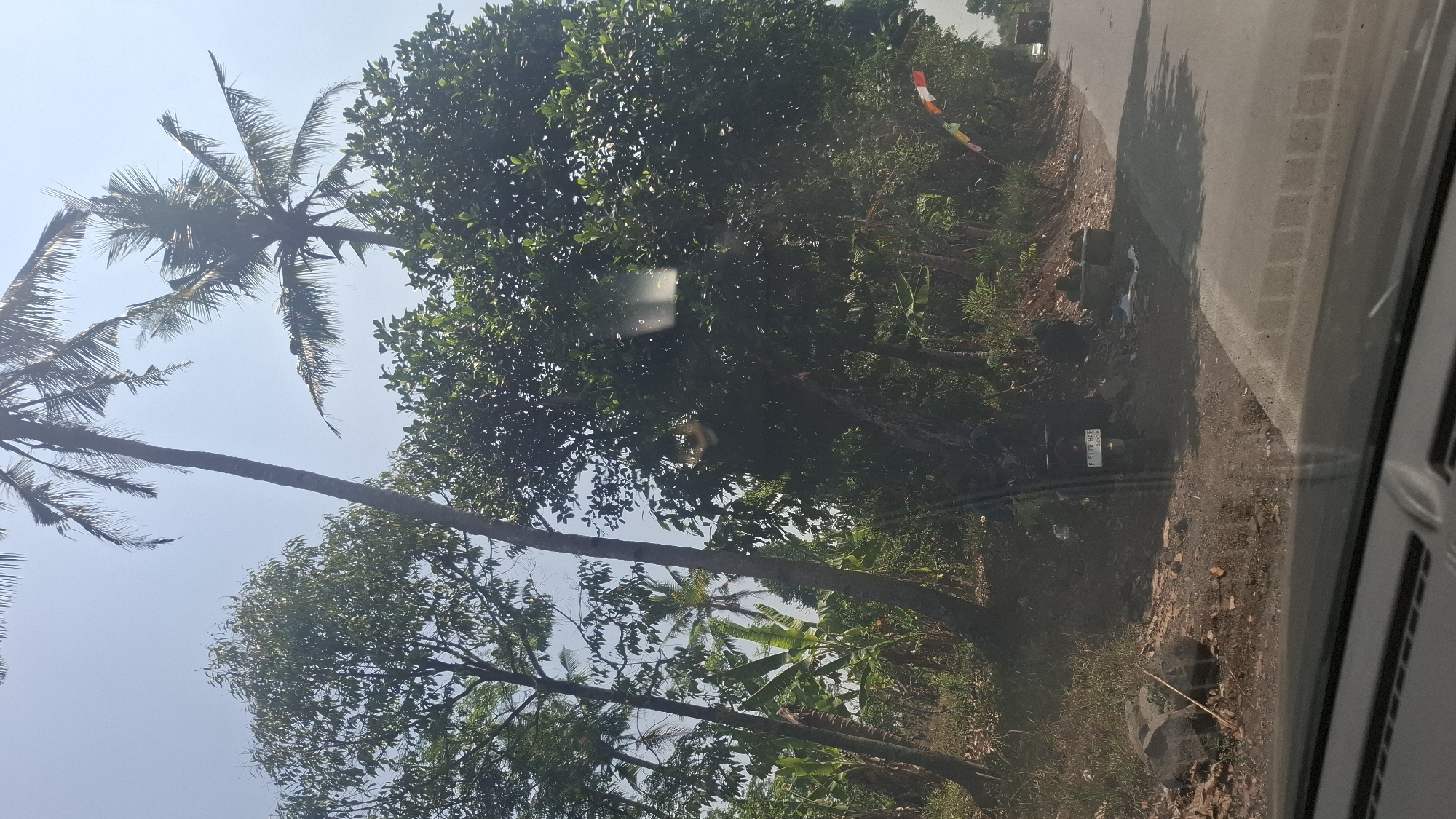 This is a forward-facing, eye-level, medium-wide shot taken from inside a vehicle, looking out at a roadside scene in Sirnagalih, Indonesia. The foreground shows the interior of a car with a reflective windshield. The middle ground is a road and the side of the road, characterized by sparse vegetation, rocks, and a small ditch. A motorcycle is parked on the side of the road. Beyond the road, a dense cluster of trees and palm trees dominates the landscape, with a clear, bright sky above. The time of day appears to be daytime, with bright sunlight creating shadows. The scene is rural or semi-rural, with a natural environment of trees and vegetation.