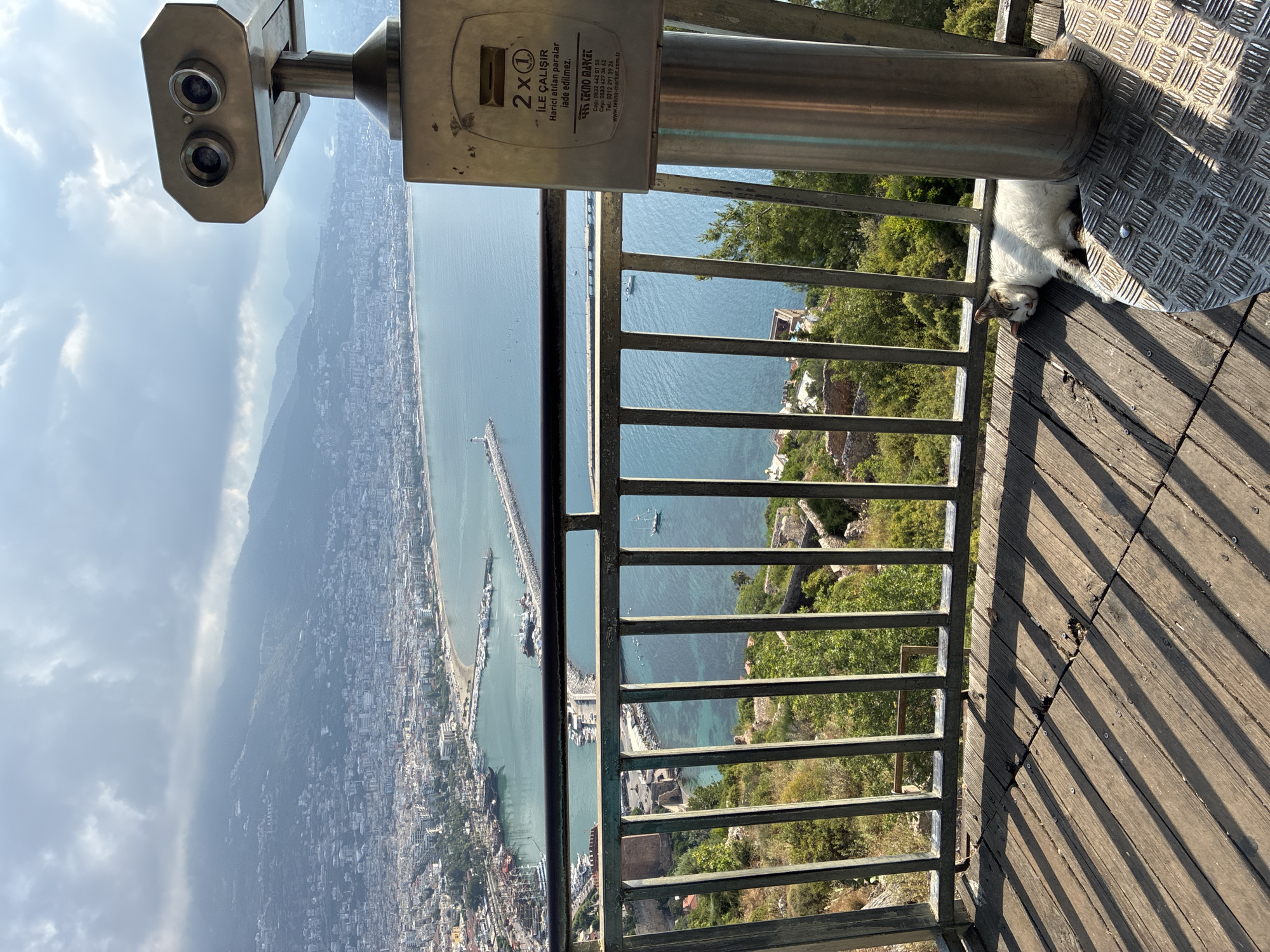A white and grey cat is sleeping on a wooden deck in Alanya, Turkey. The deck overlooks a city and a body of water, with mountains in the background. A coin-operated viewer is visible on the right side of the image. The sky is cloudy.