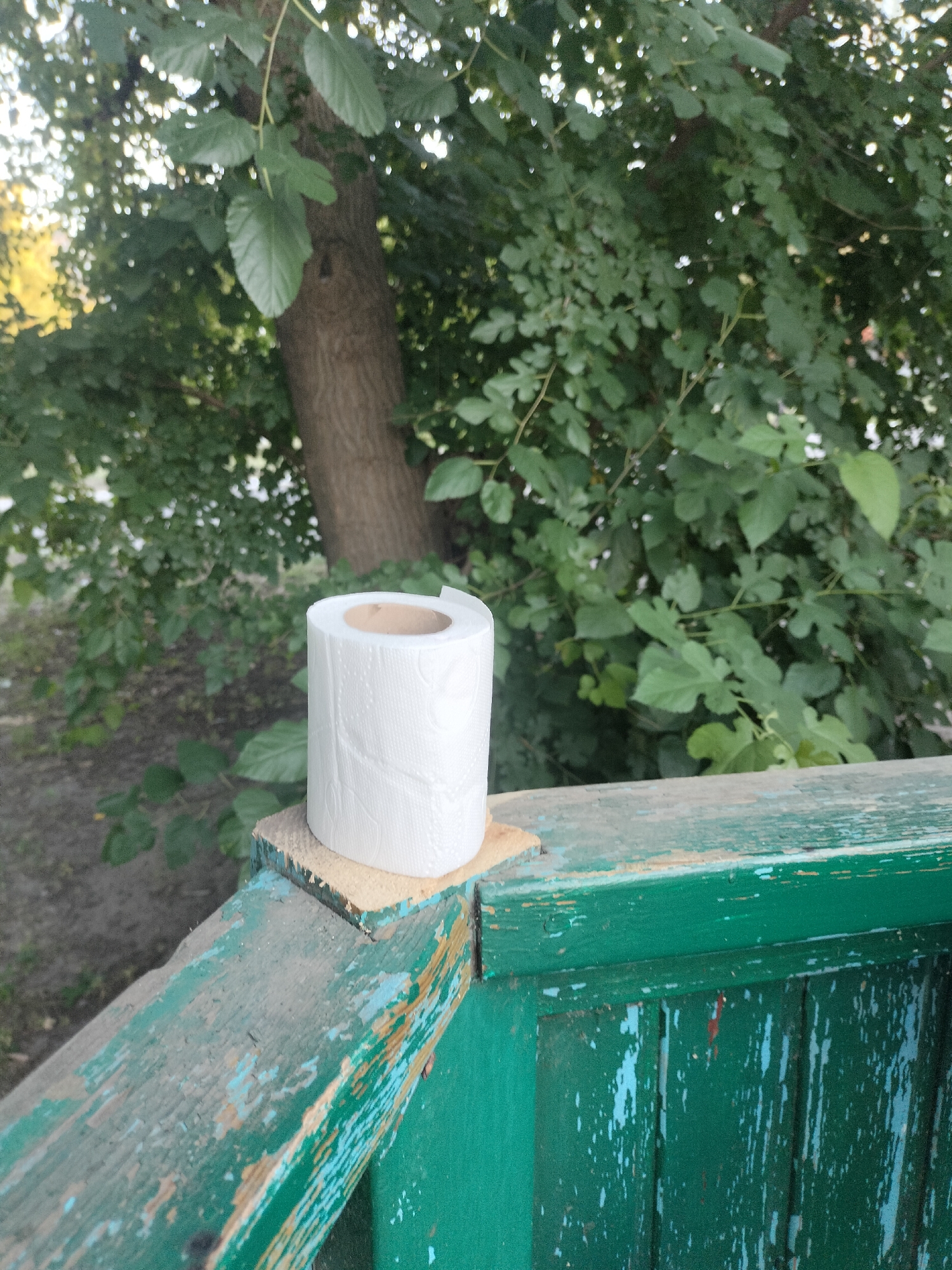 In Chernihiv, Ukraine, a roll of white toilet paper sits on a small wooden block atop a weathered, peeling green railing. The railing appears to be part of an outdoor structure, possibly a balcony or porch, with visible signs of wear and tear, including chipped green paint exposing lighter wood beneath. Behind the railing, a large tree with lush green leaves dominates the background, suggesting an outdoor, possibly residential or park-like setting. The ground behind the railing is out of focus but appears to be dirt or gravel. The overall impression is one of an ordinary, albeit slightly neglected, outdoor scene with an unexpected placement of toilet paper.