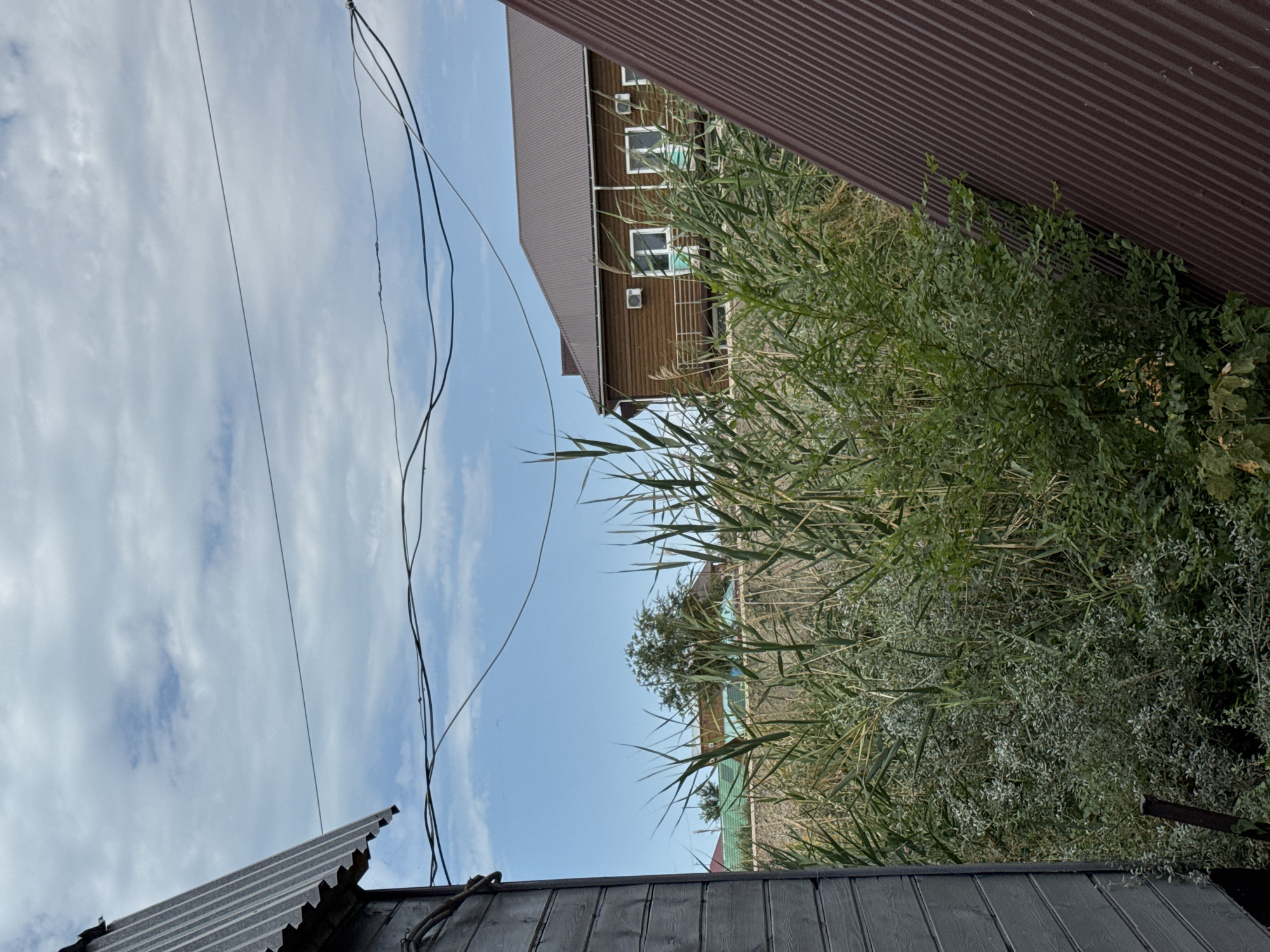 The image depicts an outdoor scene with a focus on a residential area, possibly in Zharbulak, Kazakhstan. In the foreground, a grey wooden structure, likely a building or shed, occupies the left side of the frame. To the right, a reddish-brown corrugated metal roof slopes downwards, partially obscuring the view.
Behind these foreground elements, tall reeds and other vegetation dominate the middle ground. Beyond the greenery, a brown wooden house with a dark brown metal roof is visible. This house features several windows with white frames and turquoise blinds, and two air conditioning units are mounted on the exterior wall. A low fence, possibly made of stone or concrete, runs horizontally in front of the house.
The background consists of a light blue sky with scattered white clouds. Several dark power lines are strung across the upper portion of the image, stretching between unseen poles. The overall impression is of a rural or suburban setting with residential buildings surrounded by natural vegetation.