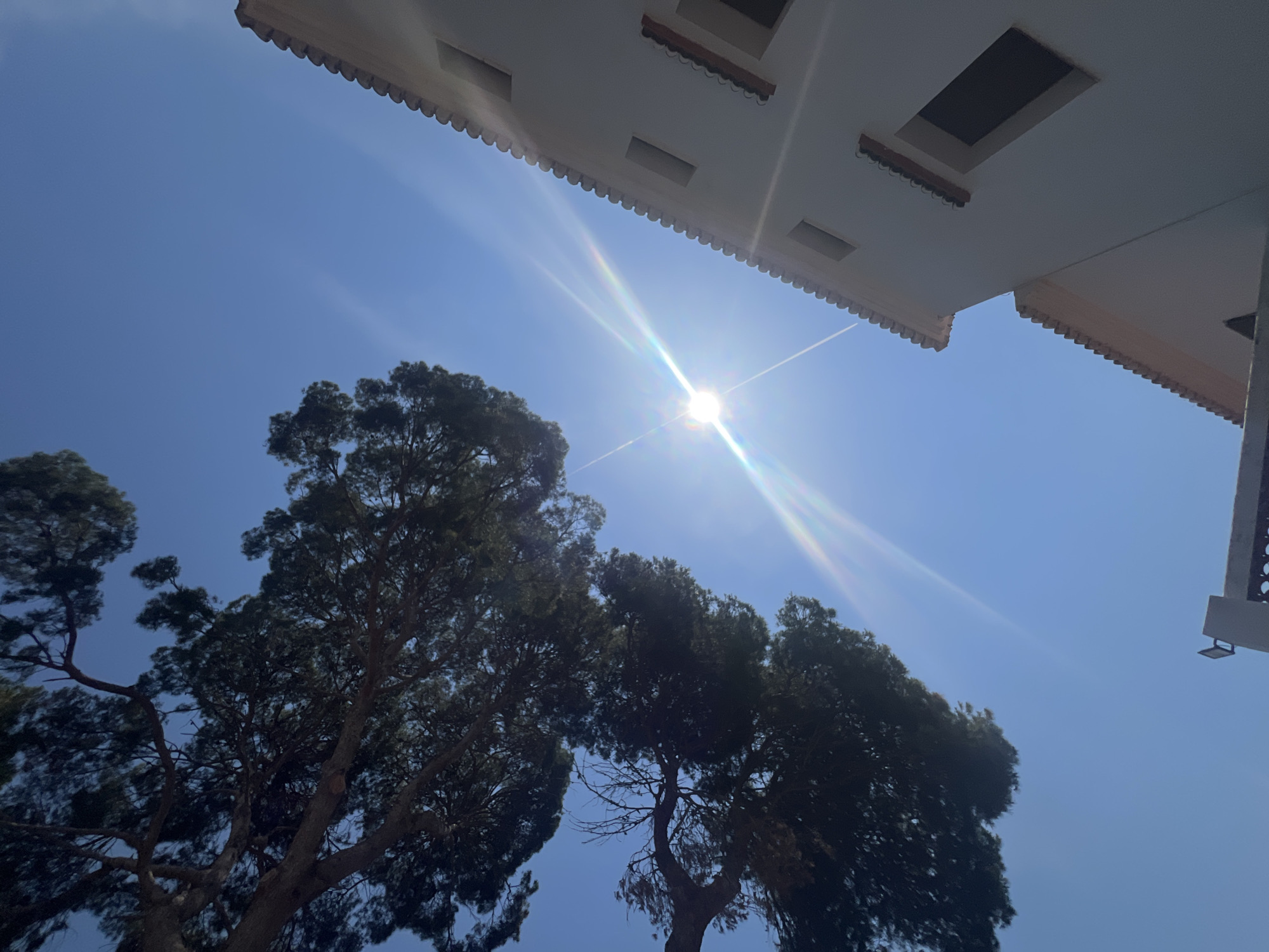 The image is taken from a low angle, looking up at a bright blue sky with the sun shining prominently, creating sun flares. Below the sun are several dark green trees. The upper right corner of the image shows the edge of a white building with rectangular openings and an ornamented edge. The location is most likely in Museros, Spain. There are no visible people, actions, or interactions. The scene is focused on the natural environment (trees, sky, sun) contrasted with the built environment (building).