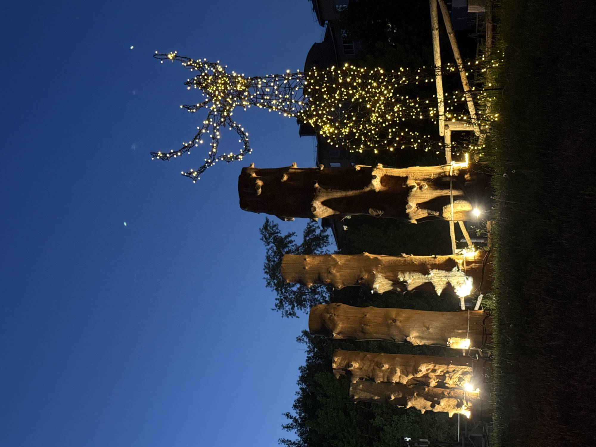 At dusk, an outdoor art installation is illuminated against a blue sky. The installation appears to consist of four stacked, roughly hewn wooden logs, possibly tree trunks, each appearing to be illuminated by a small light. Atop the uppermost log is a wire-frame structure covered in strings of small, warm-colored lights, resembling a stylized tree or abstract shape. In the background, hints of buildings and trees are visible, suggesting an urban or suburban setting. The surrounding ground is covered in grass. The location is Votkinsk, Russia.