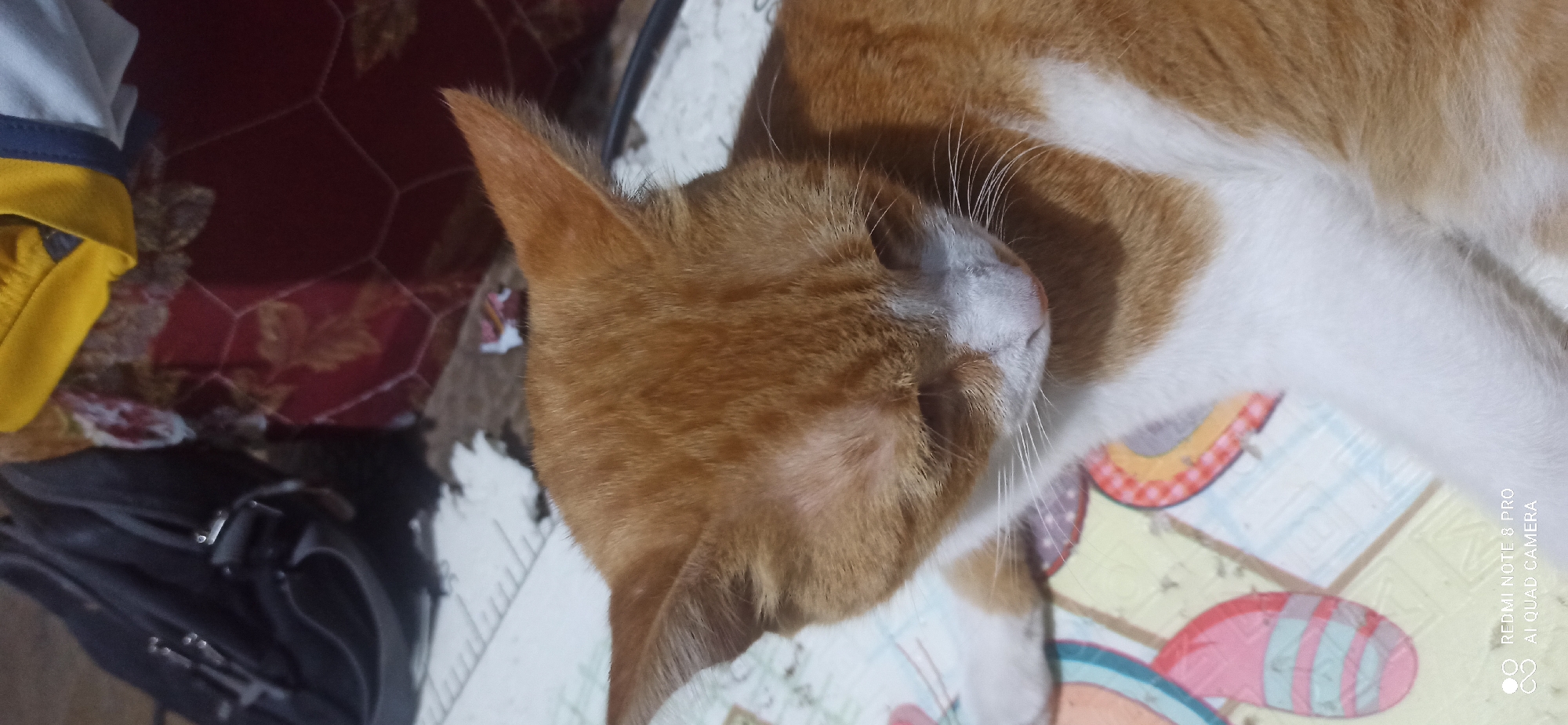 An orange and white cat is lying down on a colorful mat. The cat is facing downwards with its head tilted. In the background, a black bag and a red and yellow fabric are visible. The image appears to have been taken indoors. The location is identified as Sedati Agung, Indonesia based on the text in the lower left corner of the image which reads "REDMI NOTE 8 PRO AI QUAD CAMERA".