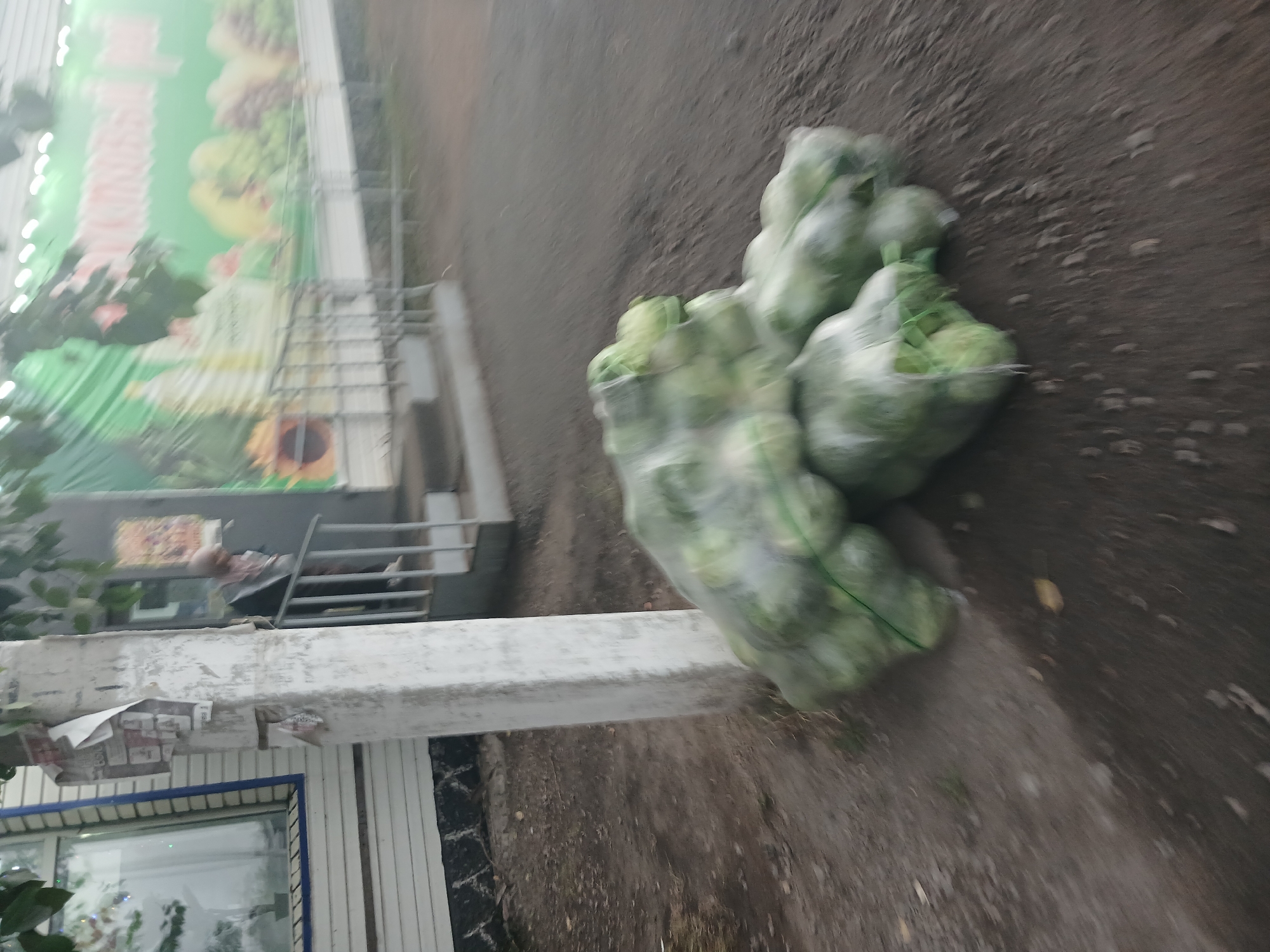 A blurry, close-up, exterior shot shows a pile of light green produce, possibly cabbages, bagged in translucent plastic netting. The netting is cinched at the top with green ties. The produce is resting on a gravelly, dusty ground surface near a concrete pillar. In the background, a white building with horizontal siding is visible. To the right of the building is a storefront entrance with stairs and a metal railing. A large, out-of-focus green banner with images of fruit hangs above the storefront. A person is partially visible on the stairs, wearing dark clothing. The image appears to have been taken in Makinsk, Kazakhstan.