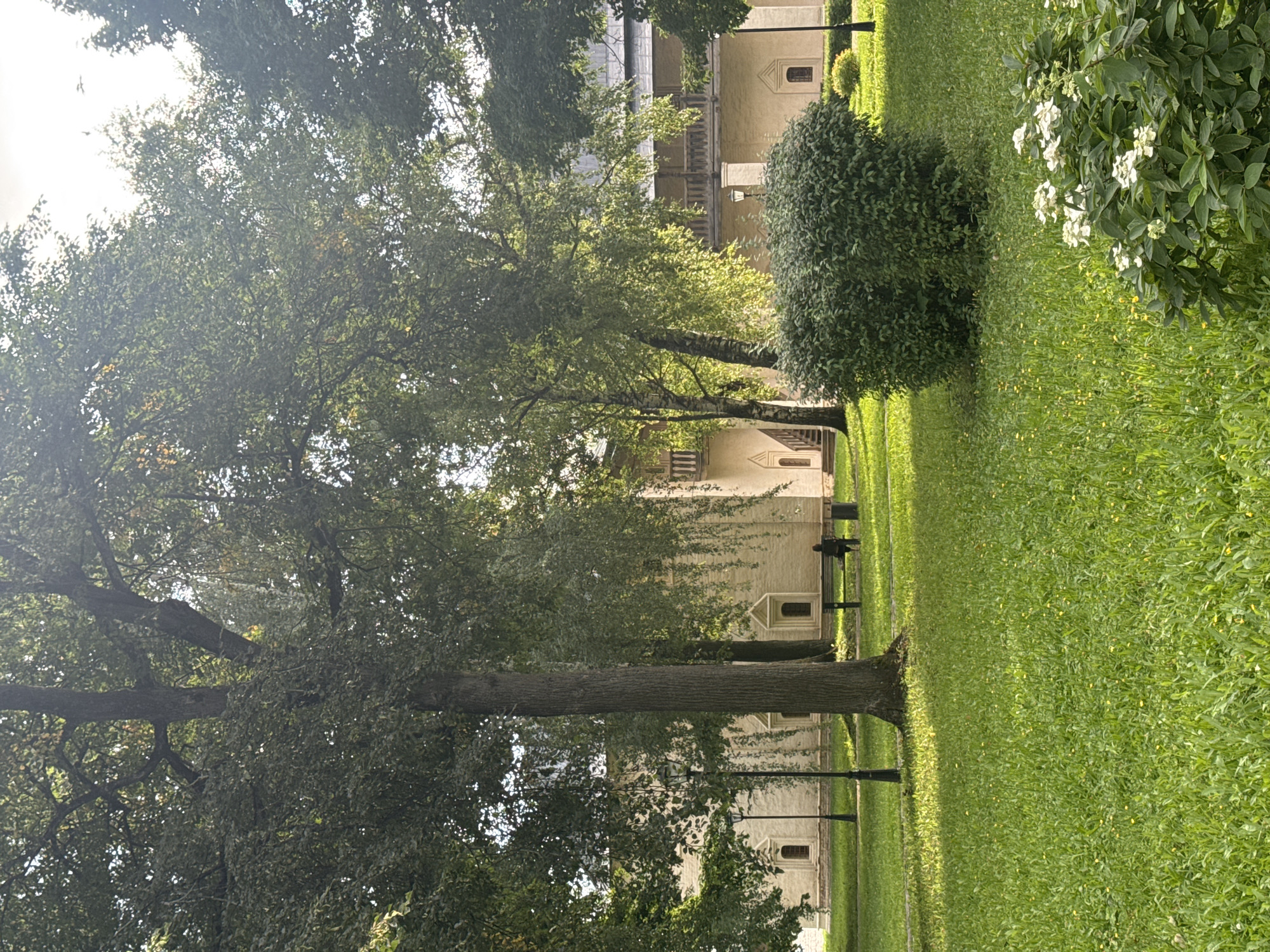 A serene park scene unfolds in Suzdal, Russia, bathed in the soft glow of dappled sunlight. Towering trees with lush green foliage create a natural canopy, their branches reaching towards the sky. In the background, a long, low-rise building with pale yellow walls and arched windows stands as a testament to historical architecture. A wooden balcony with a railing overlooks the manicured lawn.
In the middle ground, a lone figure is seated on a dark park bench, facing away from the camera, seemingly lost in contemplation. The bench is positioned on a vibrant green lawn that stretches across the foreground, dotted with small yellow wildflowers. To the right, a dense, round green bush adds texture and depth to the landscape. In the lower right corner, a smaller bush with delicate white blossoms provides a touch of floral beauty. Streetlights with dark poles are strategically placed along a paved pathway, hinting at the park's accessibility and upkeep. The overall atmosphere is one of tranquility and natural beauty, inviting viewers to immerse themselves in the peaceful ambiance of this Russian park.