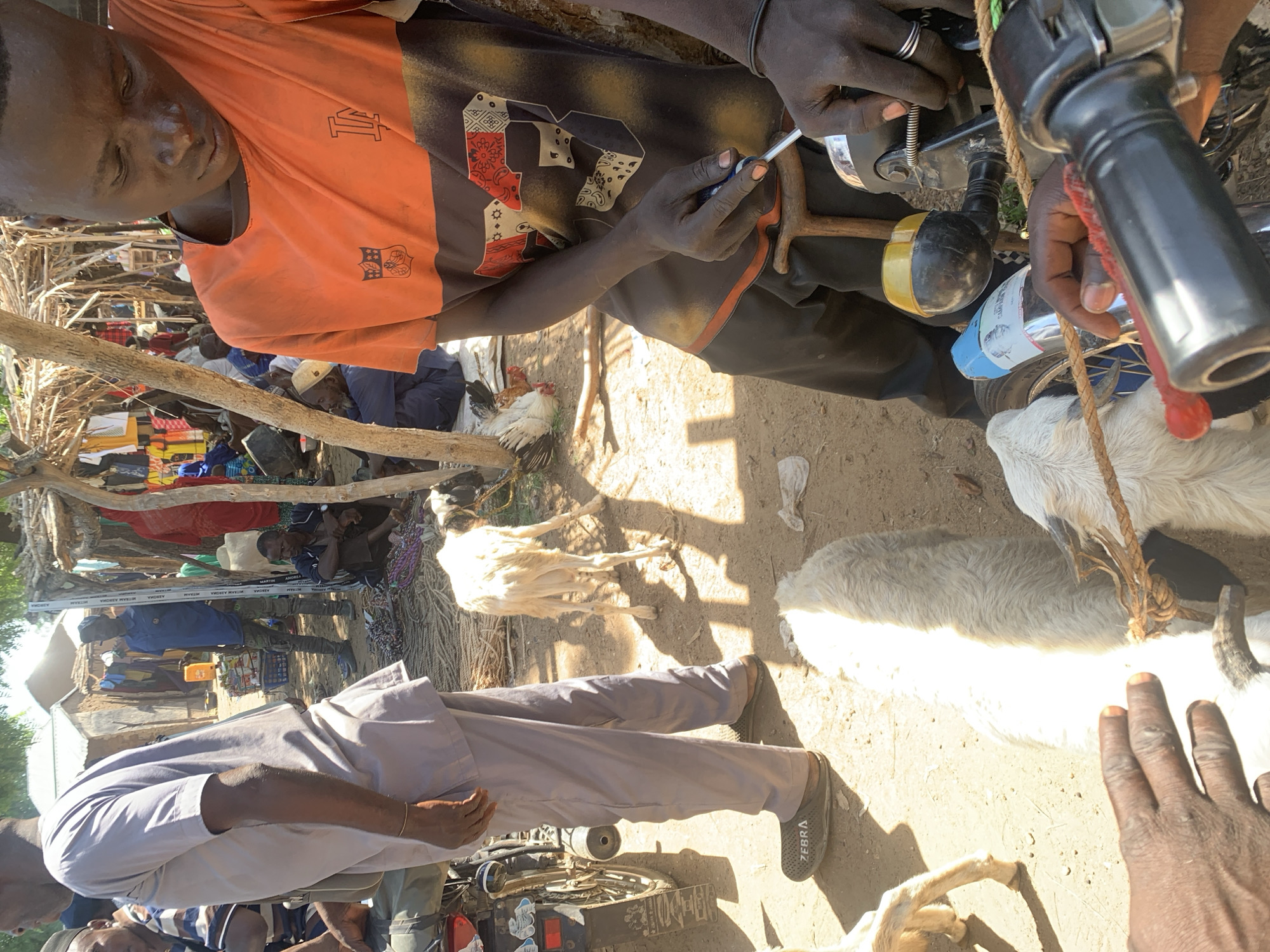 In Dull A, Nigeria, a group of people are gathered in a dry, outdoor setting. The scene appears to be a market or a communal area, with several makeshift stalls visible in the background, constructed from wood and thatch. A young person wearing an orange t-shirt is the central figure, looking downwards with a concerned expression. They are interacting with a motorbike, holding a small tool, possibly a screwdriver, and adjusting a part of the vehicle. Another person's hands, wearing a silver ring, are also visible near the motorbike.
Goats are present in the scene, with two white goats prominently featured. One goat is lying down, while another stands nearby. A few chickens are also visible, adding to the rural atmosphere. The ground is dusty and dry, indicating a warm, possibly sunny, time of day, judging by the shadows cast.
In the background, other individuals are present, some tending to goods displayed on the ground, which appear to be bundles of rope or fabric. The overall mood suggests everyday activity in a community, possibly related to trade or vehicle maintenance. The image captures a moment of focused activity amidst a lively, if somewhat rustic, environment. No specific time of day is discernible beyond the general impression of daylight, and the weather appears to be dry.
