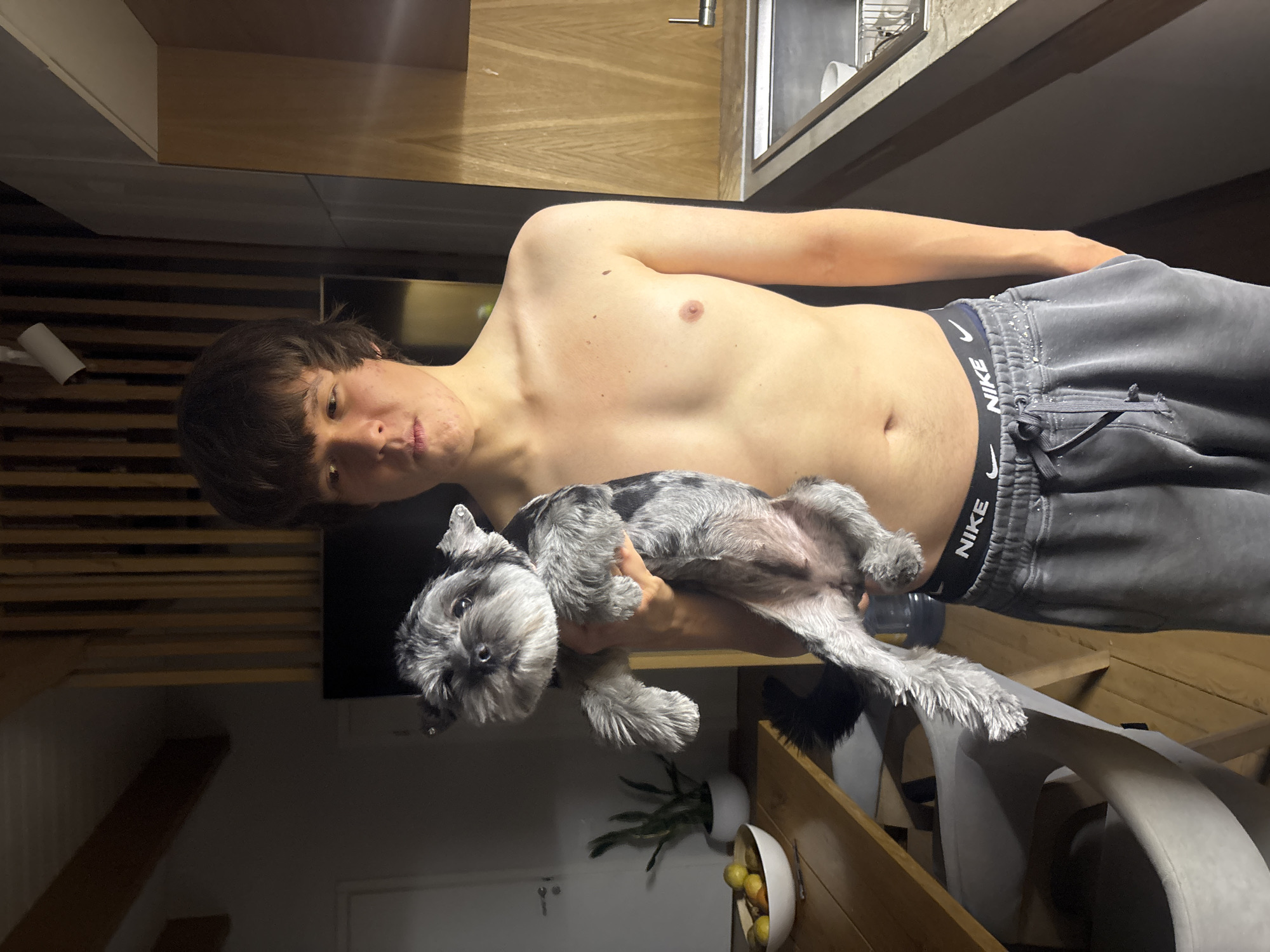 A portrait-oriented photo depicts a young man holding a small dog in an indoor setting, likely in Chaikovsky, Russia. The man stands shirtless, wearing grey sweatpants with a black Nike waistband visible. He has short, dark brown hair and a light complexion, looking towards the camera with a neutral expression.
He holds a small, grey and white salt-and-pepper dog, possibly a Miniature Schnauzer, in his left arm. The dog is comfortably lying on its back with its belly exposed, looking directly at the viewer. Its fur appears well-groomed.
The background suggests a modern home interior. To the man's left, a wooden slatted wall is visible, with a white roll (possibly paper towels) hanging on it. Above and to his right, kitchen elements such as a countertop, a sink faucet, and a metal rack or dish drainer are visible. Below and to his right, a wooden surface holds a white bowl filled with fruit (lemons or limes) and a small potted plant. Part of a grey chair can be seen in the lower right corner. The lighting appears artificial, suggesting it is evening or night indoors. The overall scene captures a calm moment between the man and his pet.
