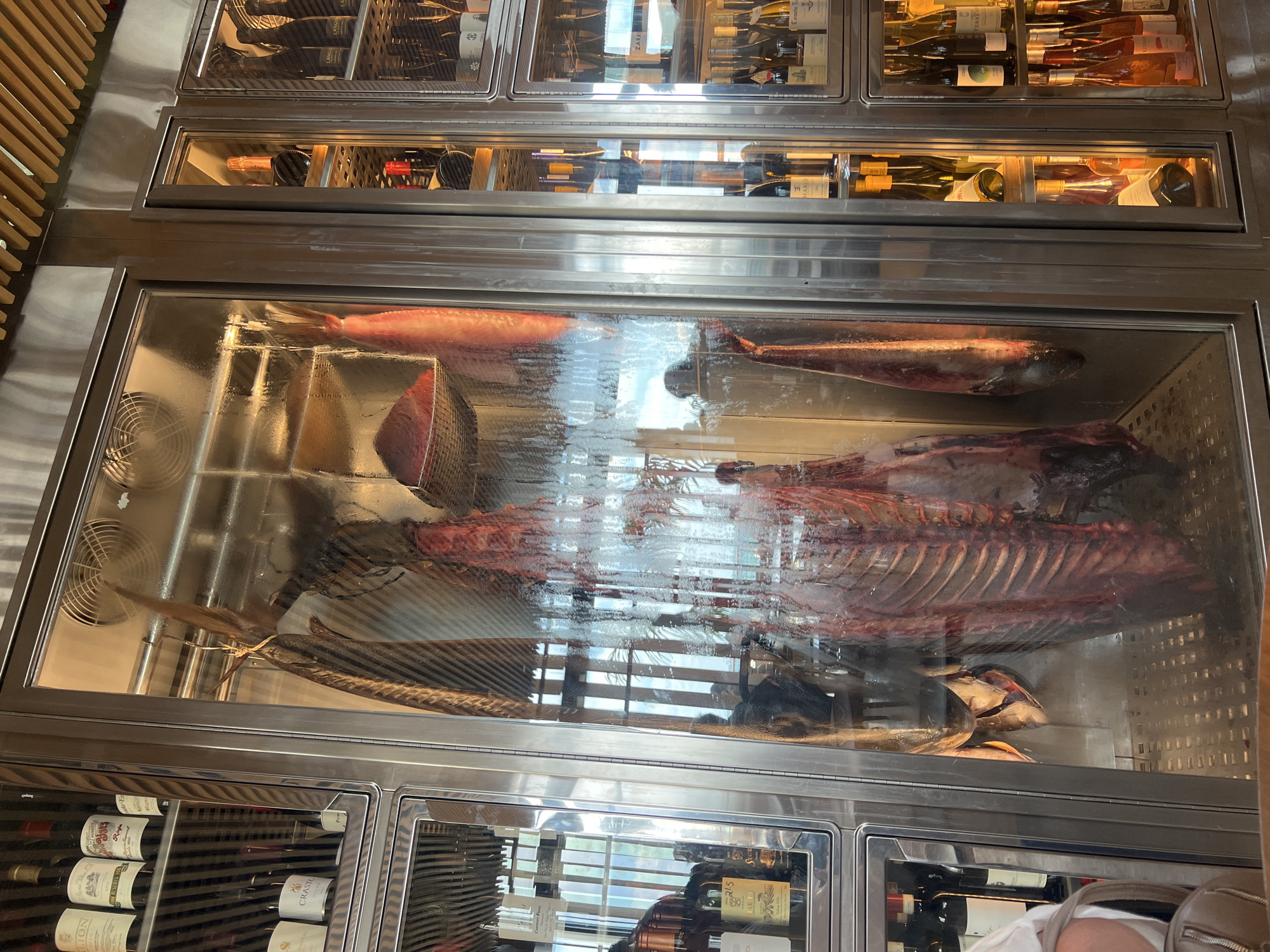 The image shows a commercial refrigerator display case, likely in a store or restaurant in Tel-Aviv, Israel (given the context). The case contains wine bottles in the upper and lower sections. The central section showcases whole fish, possibly tuna, including one that is quite large and appears to have been cut open. The lighting in the display case is bright, and the glass is partially obscured by condensation or reflections.