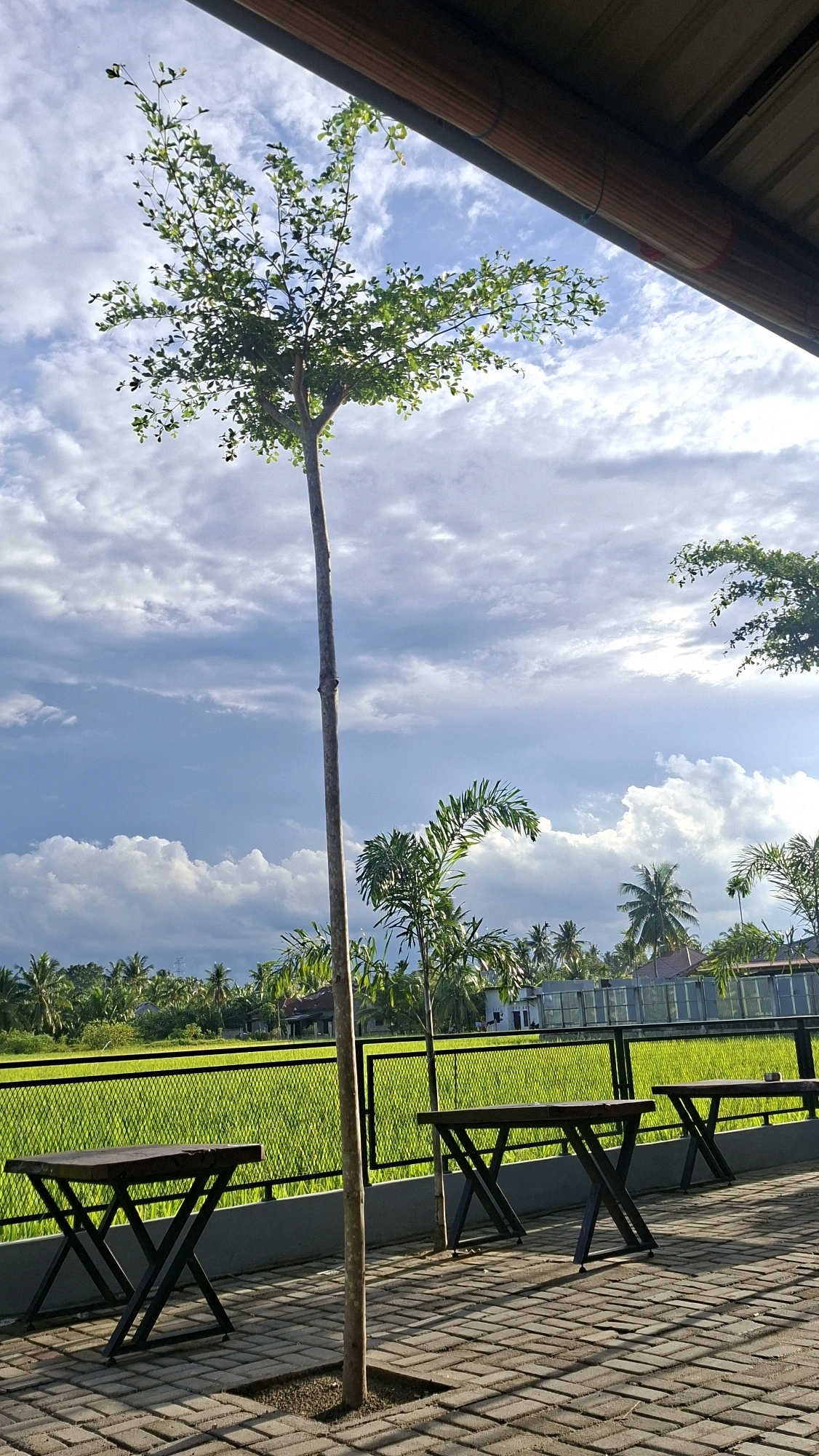This is a photograph taken at an outdoor seating area overlooking a rice field in Keudebayu, Indonesia. In the foreground, a thin, tall tree stands vertically in the center of the frame, planted in a square patch of soil on a paved brick walkway. To the left of the tree, a dark brown wooden table with a rough-hewn edge is supported by black metal legs forming an "X" shape. Another similar table is visible to the right, partially obscured by the tree. Beyond the walkway and tables, a black metal fence with a diamond pattern encloses a vibrant green rice field. In the background, a line of palm trees and other foliage stretches across the horizon, with scattered houses and structures interspersed. The sky is partly cloudy with dramatic formations of white and grey clouds against a bright blue backdrop, illuminated by what appears to be late afternoon sunlight. The perspective is from slightly below eye level, looking up towards the sky and across the landscape.