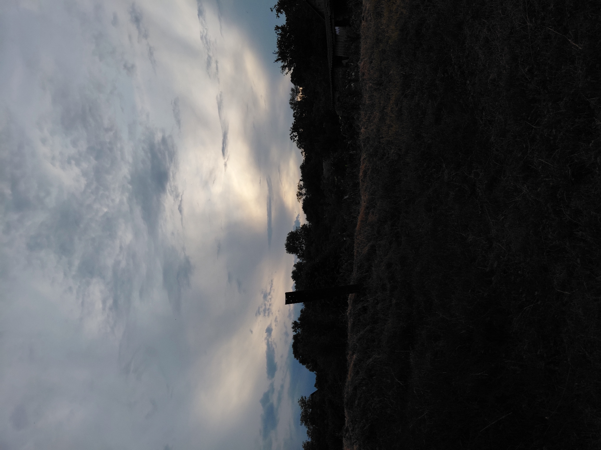 This image depicts a landscape scene at an unspecified time of day, likely dawn or dusk, in Unknown, Unknown. The upper portion features an overcast sky with varying shades of gray clouds. Prominent crepuscular rays of light emanate from a bright, diffuse source in the upper center-right, fanning across the sky. The horizon is marked by a dense line of silhouetted trees and foliage, appearing as dark masses. In the midground, slightly to the left of center, a dark, vertical, rectangular post with irregular top edges is visible. To the far right, partially obscured by foliage, is a dilapidated structure, likely wooden, also largely silhouetted. The foreground comprises an expanse of extremely dark, unkempt ground covered in low-lying vegetation, likely dry grass or scrub, with minimal detail discernible due to profound underexposure. No individuals or animate subjects are visible in the frame. The scene is static.