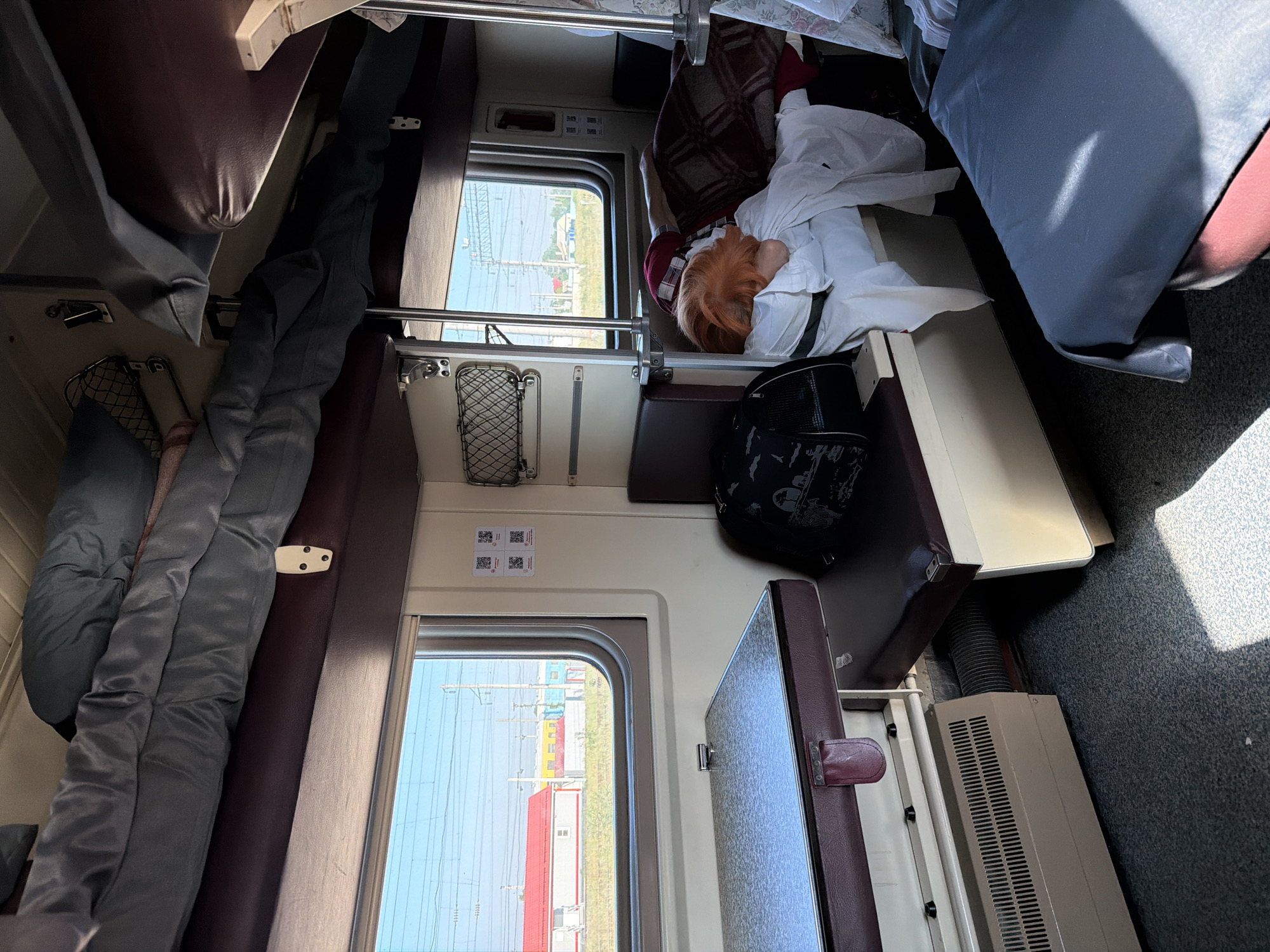 The image shows the interior of a train compartment. The compartment has bunk beds, a table, and a window that offers a view of buildings and power lines outside. A person with red hair is sleeping in one of the lower bunks, covered by a blanket. There is a black pet carrier on a seat and a grey duvet on an upper bunk. The overall scene suggests a travel setting. The image was taken in Petrov Val, Russia, within a train compartment.