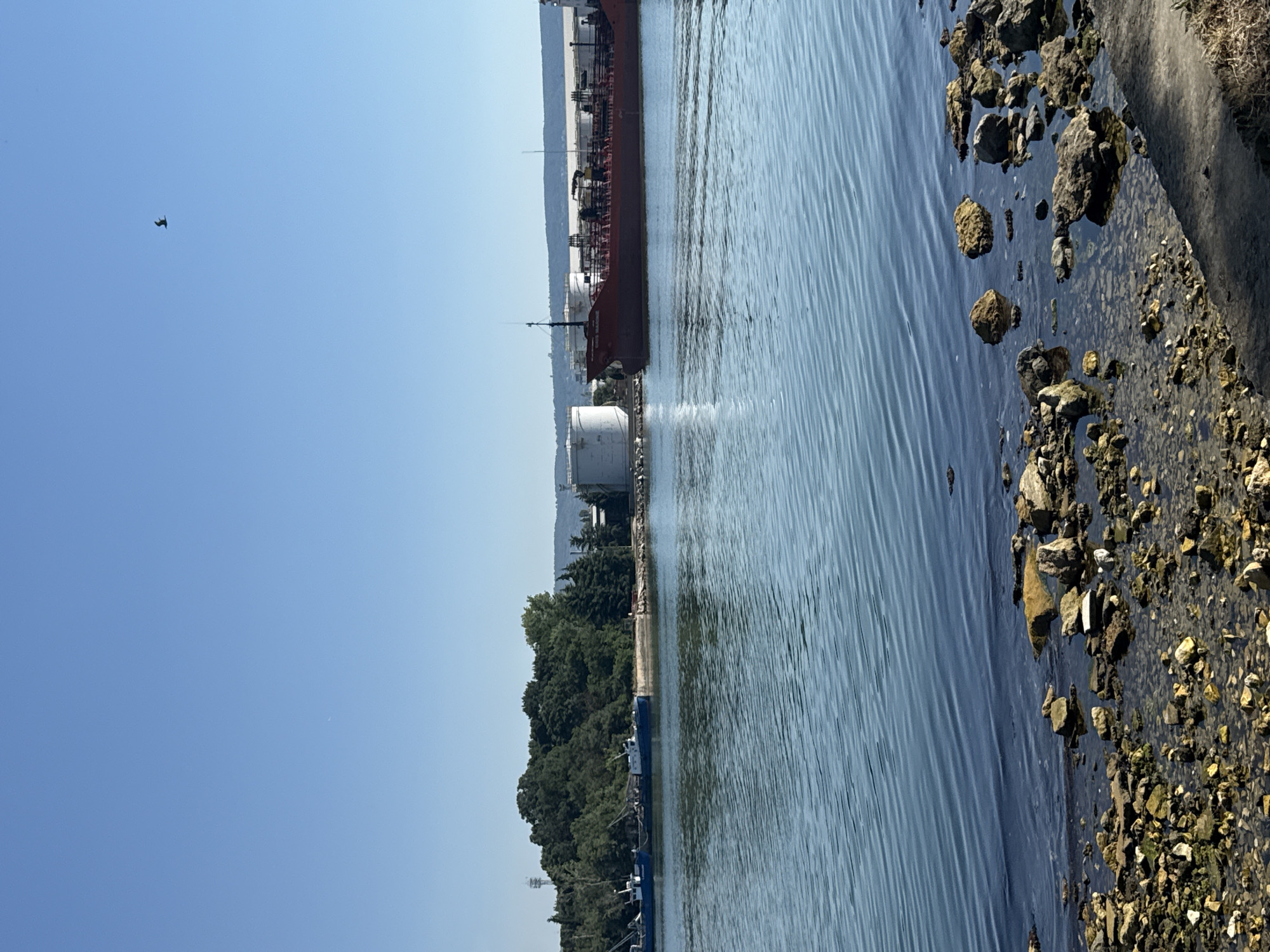 The image depicts a harbor scene under a clear blue sky. In the foreground, a rocky shoreline transitions into calm, rippling water. The middle ground features two ships: a smaller, blue vessel on the left, and a larger, red tanker on the right. Behind the ships, a line of lush green trees forms a backdrop, with industrial white storage tanks visible behind the trees to the right. The scene is peaceful and appears to be during daylight hours. A solitary bird is seen flying in the upper right quadrant of the sky.