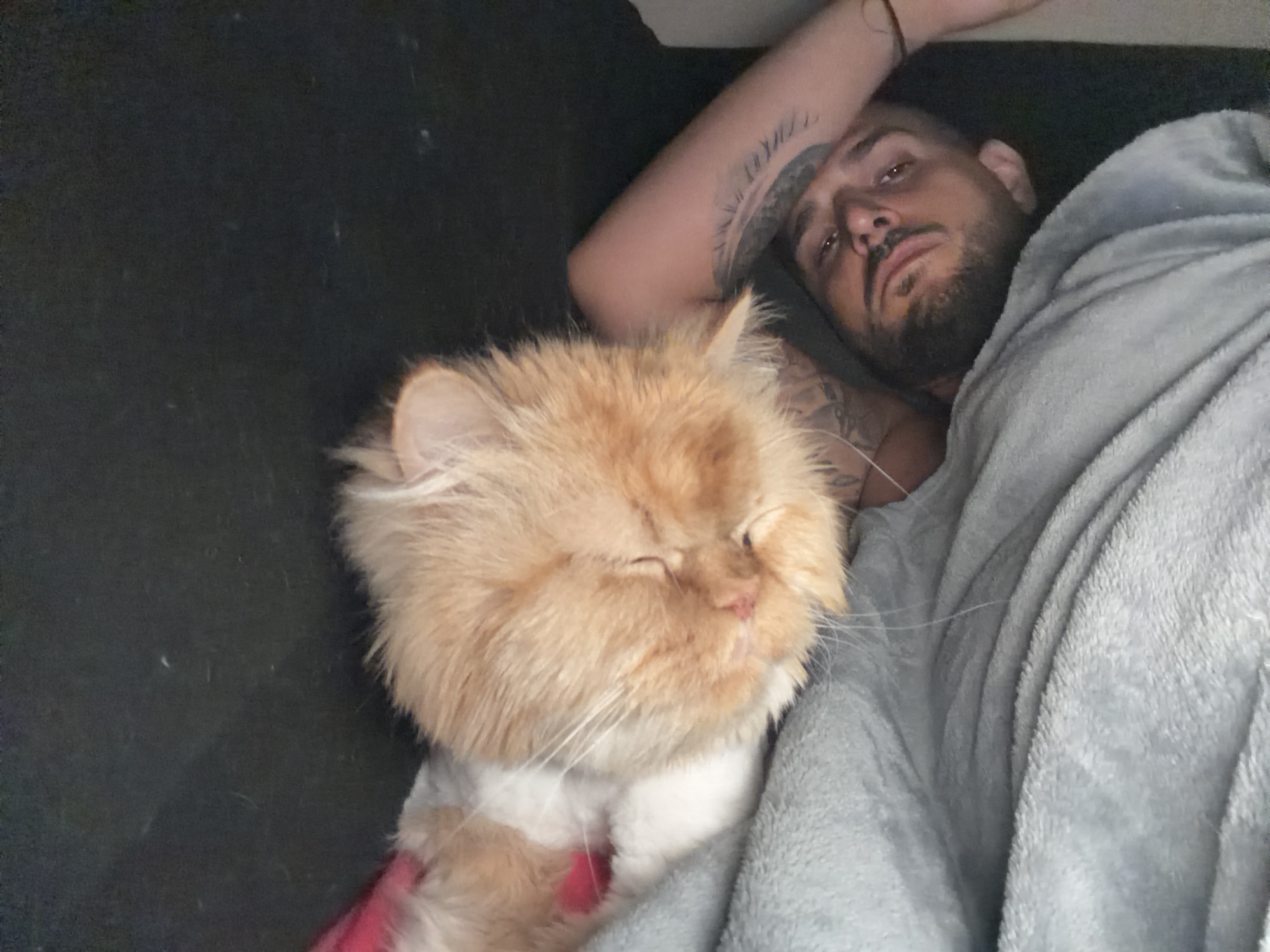 In an indoor setting, likely a bedroom or living room in Sofia, Bulgaria, a man and an orange cat are seen resting closely together. The man is lying on his back, with his head turned slightly towards the camera. He has dark hair, a beard, and a nose piercing. His eyes are partially open, conveying a sleepy or relaxed expression. His left arm is visible, adorned with tattoos, including what appear to be Roman numerals and other designs. He is partially covered by a soft, light grey blanket that drapes over his body.
Snuggled against the man's side, on a dark surface that could be a bed or couch, is a very fluffy, long-haired orange cat. The cat's face is prominent in the foreground, with its eyes nearly closed, suggesting it is also resting or napping. Its fur is dense and appears soft. There's a hint of white fur on its chest and possibly something red or pink near its front paws, though its exact nature isn't clear. The overall lighting appears dim, contributing to a calm and intimate atmosphere. The scene captures a moment of quiet companionship between the man and his pet. No discernible text is clearly visible other than the designs of the tattoos, which are not fully legible.