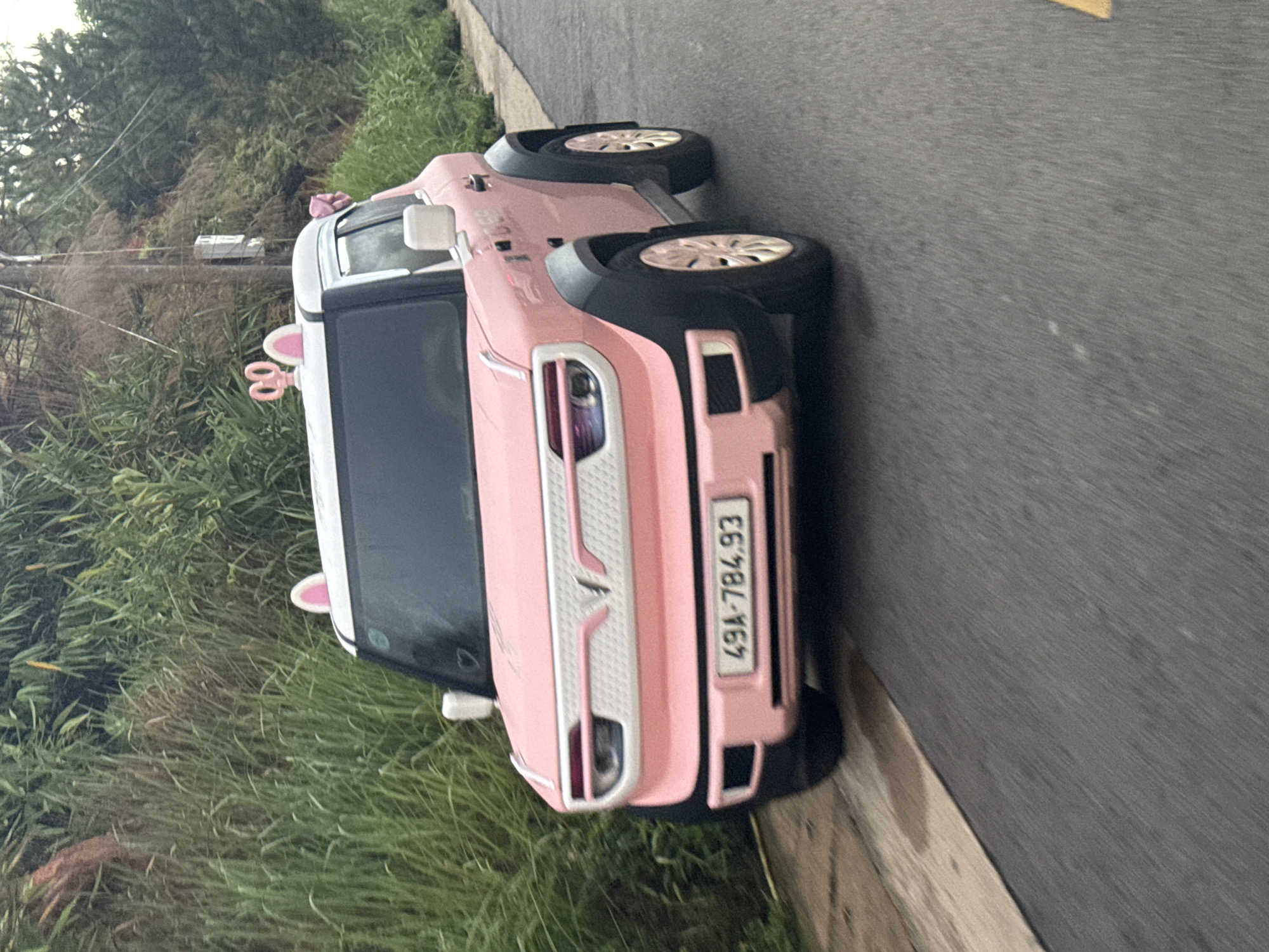The image shows a pink SUV with decorative elements, including pink bunny ears on the roof and large pink bows on the side mirrors. The vehicle has a white grille with a V-shaped emblem and headlights. A license plate reading "49A-784.93" is visible on the front bumper. The car is driving on a paved road with a grassy embankment on the left and trees and foliage on the right. The setting appears to be a rural or suburban area, potentially on the outskirts of Lâm Viên - Đà Lạt, Vietnam, given the mountainous landscape and vegetation characteristic of the region. The sky is overcast, suggesting a cloudy or possibly rainy day.
