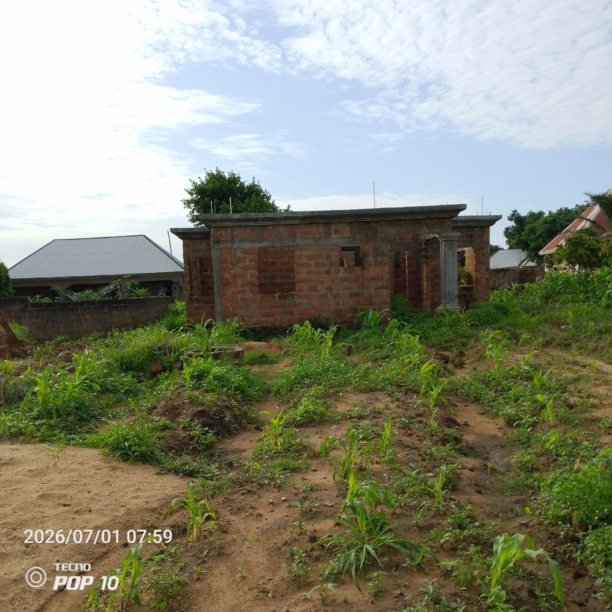 In Jalingo, Nigeria, an unfinished brick building stands amidst a rural landscape. The structure, made of red bricks, has open window frames and exposed rebar, indicating it is under construction. In the foreground, young corn stalks and various green plants sprout from the reddish-brown soil. To the left, a completed house with a grey metal roof is visible behind a low stone wall. The sky above is partly cloudy with scattered white clouds against a light blue backdrop. The lower left corner of the image displays a timestamp and a logo, reading "2026/07/01 07:59 TECNO POP 10".