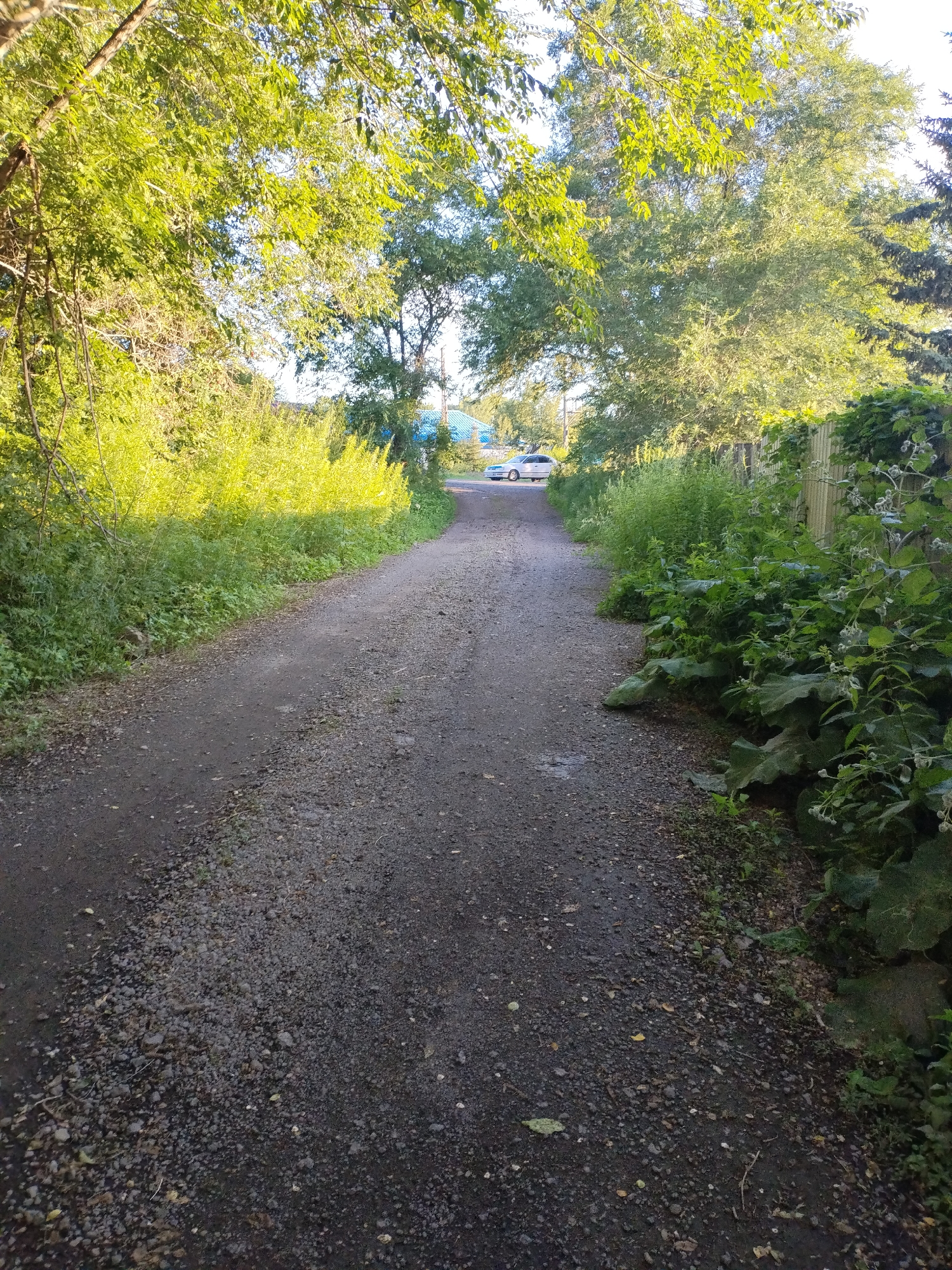 The image depicts a gravel path leading into a residential area, with lush green foliage flanking both sides. On the left, the path is bordered by dense vegetation and trees with sunlight filtering through their leaves, creating a dappled effect. On the right, a wooden fence can be seen, also partially obscured by overgrown plants. In the distance, a white sedan is parked on the path, near what appears to be a building with a blue roof. The overall impression is that of a quiet, somewhat untamed, suburban or rural setting.