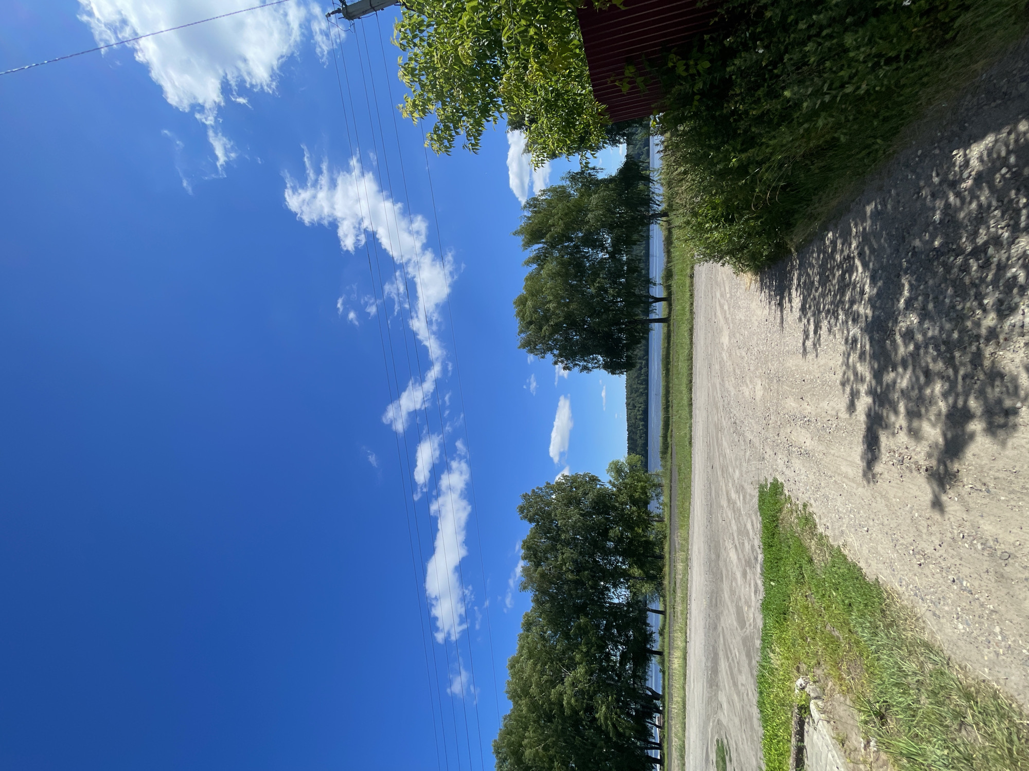 The image depicts a rural scene with a clear blue sky and scattered white clouds. In the foreground, there is a dirt road leading into the frame, with patches of green grass on either side. A line of trees is visible in the middle ground, with a body of water behind them. The background features a dense forest. The overall impression is one of a tranquil summer day in a natural setting, possibly located on the outskirts of Заречный, Russia. There are no people or animals visible in the image, and no discernible activities taking place. The presence of utility poles and wires suggests proximity to a developed area, but the dominant features are natural elements.