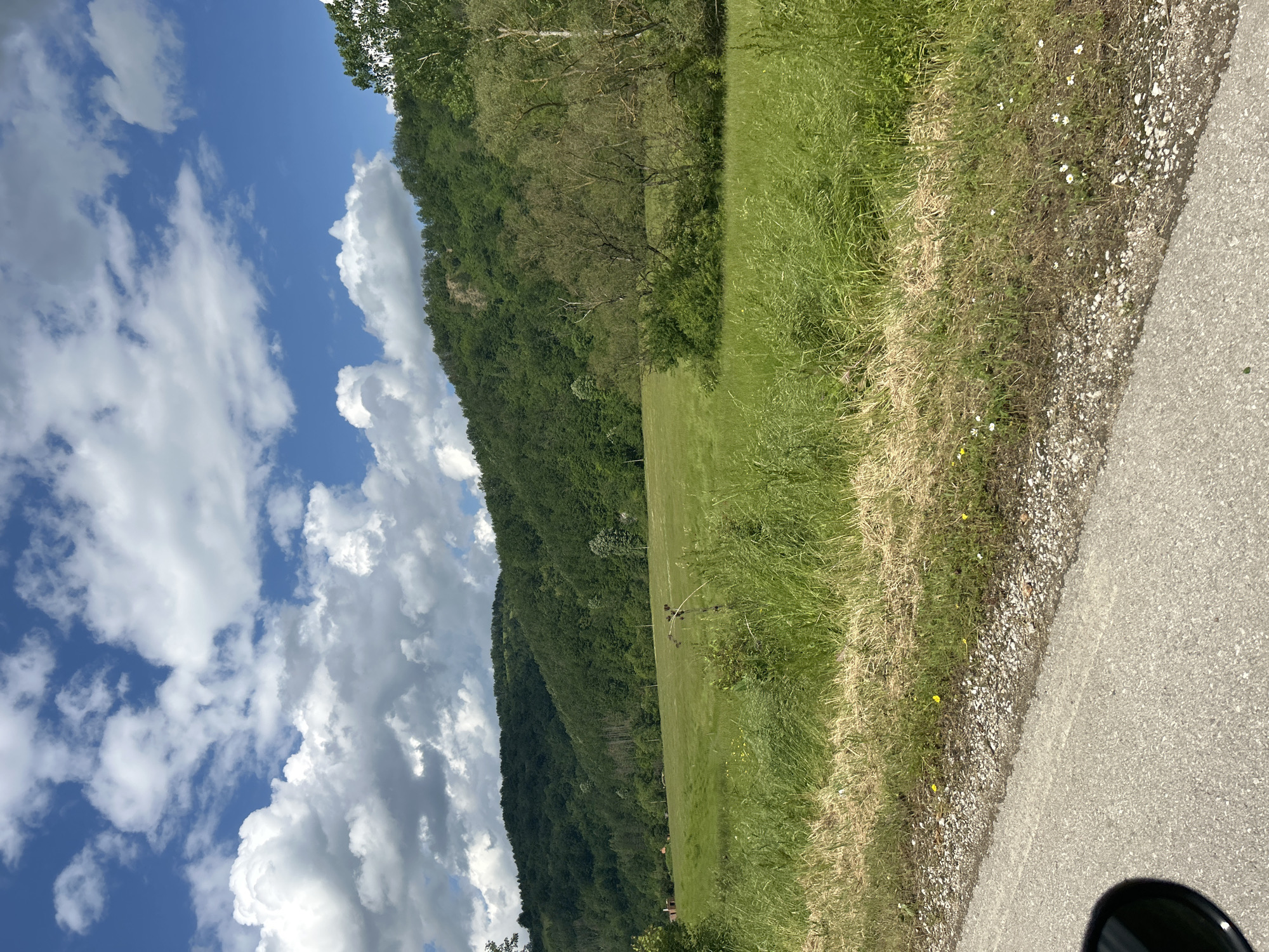 A vibrant natural landscape is depicted under a bright blue sky filled with numerous fluffy white cumulus clouds. On the left side, a large, densely forested hill or mountain dominates the background, covered in lush green deciduous trees. Stretching across the midground is a wide, flat expanse of green meadow or field. The grass appears vibrant in some sections and taller, drier, and more golden-brown closer to the foreground. A few sparse trees or bushes are visible within the field, and a dark, indistinct object can be seen in the distance of the meadow.
The foreground on the right features a paved asphalt road, with a distinct gravel shoulder separating it from the grassy area. The gravel shoulder contains small white and yellow wildflowers interspersed among dry grass and small stones. A dark, rounded object, possibly a part of a vehicle's mirror or body, is partially visible in the bottom right corner. The scene is bathed in bright daylight, suggesting it is late morning or early afternoon with clear, fair weather. No people or specific activities are visible, presenting a tranquil and open rural setting. There is no visible text.