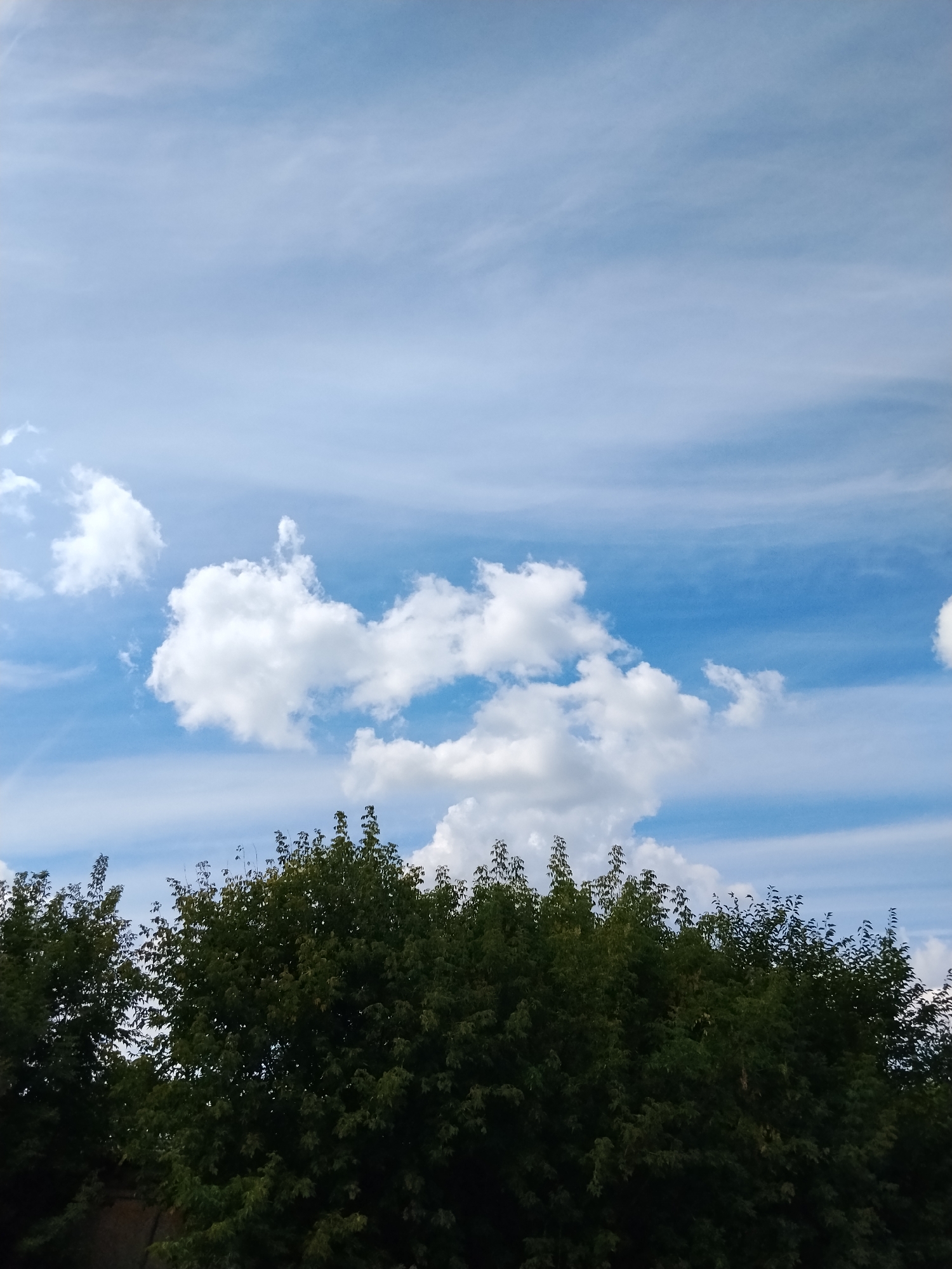 The image captures a cloudy sky above a line of dense green trees. The sky is a vibrant blue, streaked with wispy white cirrus clouds and punctuated by scattered cumulus clouds. The trees form a dark, solid mass across the lower portion of the frame, their leaves appearing lush and full. The scene appears to be an outdoor setting, possibly in a park or a residential area. There are no people or animals visible in the image. The lighting suggests it is daytime. The image does not provide specific landmarks or architectural details to pinpoint a location within Hoholeve, Ukraine, but the natural elements are consistent with a temperate climate.