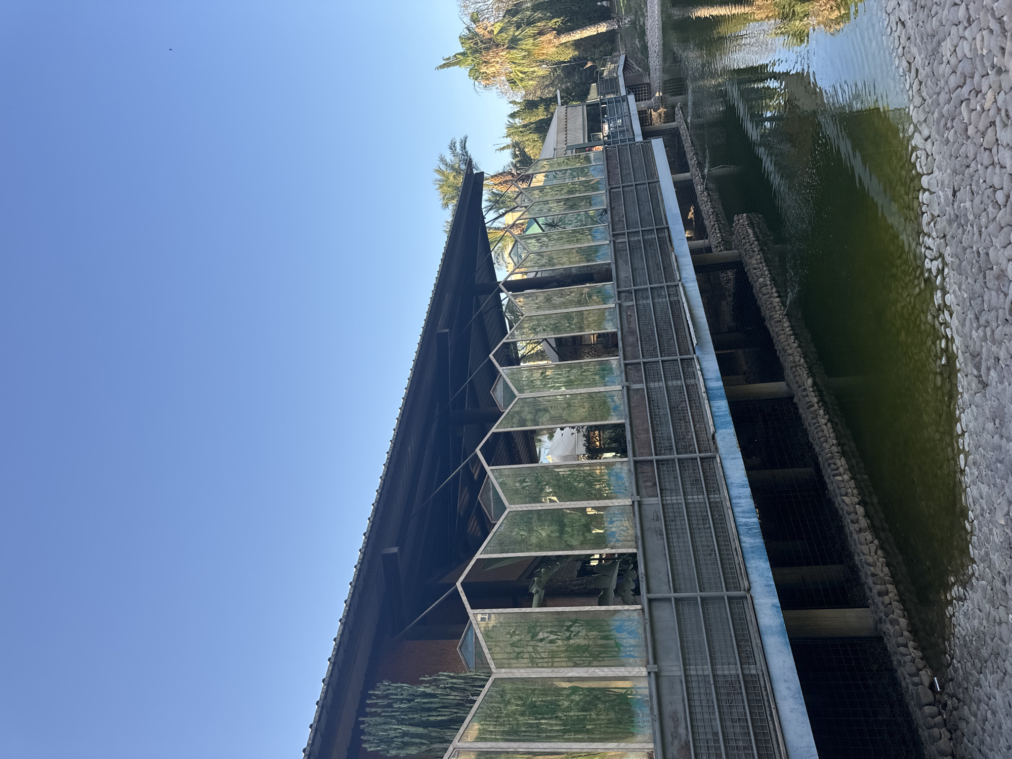 The image captures a view of a building with a sloped roof supported by metal beams. The facade features a series of angled glass panels, each decorated with what appears to be a mural of bamboo and blue water. A tall cactus is visible to the left of the building. Below the building, a body of murky green water is surrounded by a rocky embankment. A metal railing runs along the length of the building. Palm trees and other foliage are visible in the background. The sky is clear and blue. The image appears to be taken outdoors on a sunny day. Based on the distinctive architecture and lush vegetation, this scene is likely located within the Terra Natura park in Murcia, Spain, a popular zoological and botanical garden.