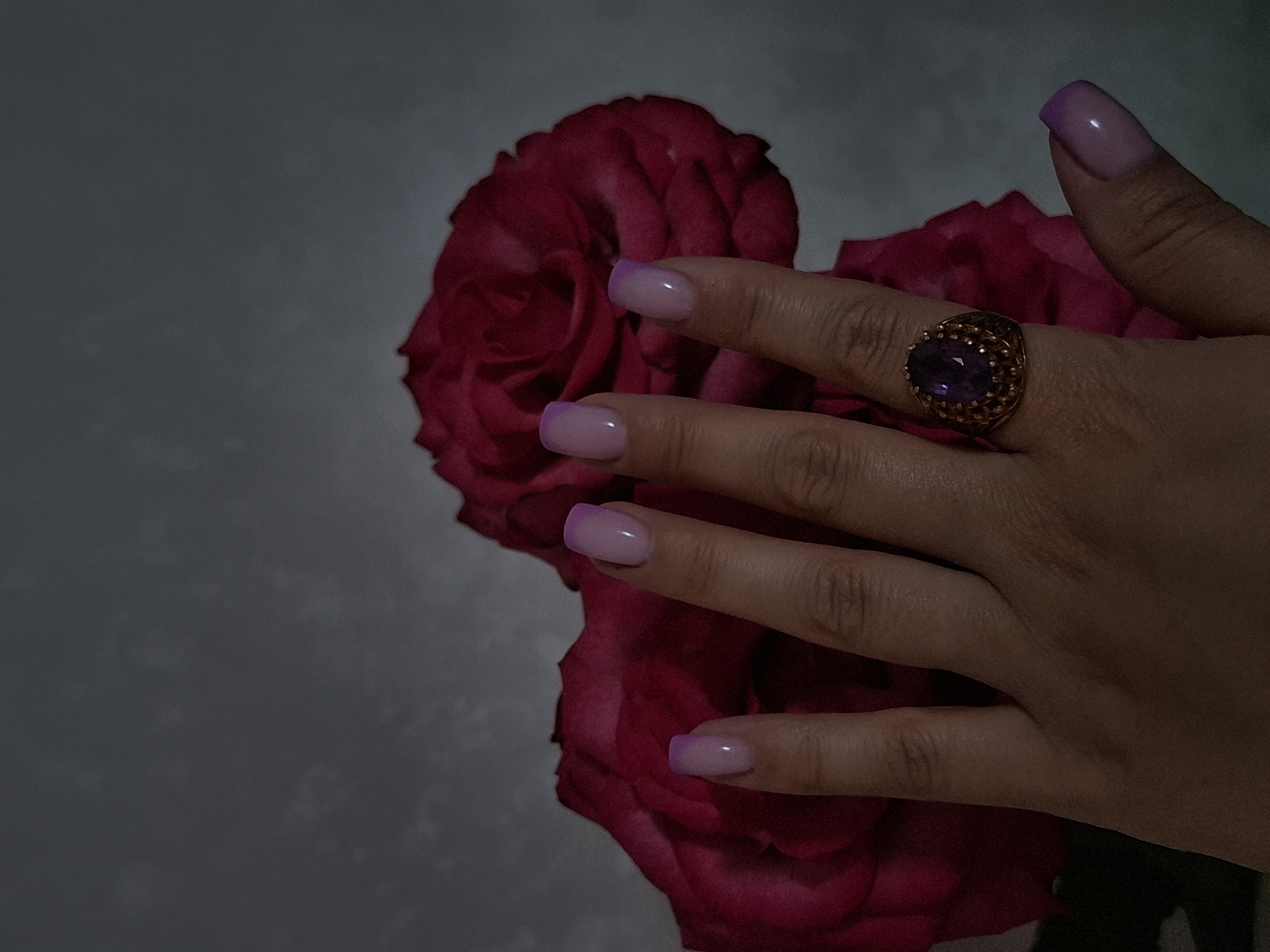 A close-up photograph depicts a hand adorned with a ring featuring a dark purple stone, partially obscuring two red roses. The fingernails are manicured with a light pink base and a purple tip. The background is a blurred, nondescript gray, suggesting the image was taken indoors. There is no discernible information to suggest the location is Chaikovsky, Russia.