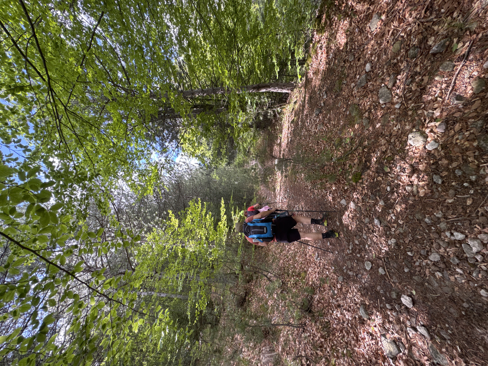 The image depicts a hiker on a path in a forest, likely near Mostovo, Bulgaria. The path is covered in brown leaves and rocks. The hiker is wearing dark shorts, a red shirt, a blue backpack, and black hiking boots. They are using trekking poles. The forest is dense with green trees, some of which obscure the sky. Sunlight filters through the leaves.