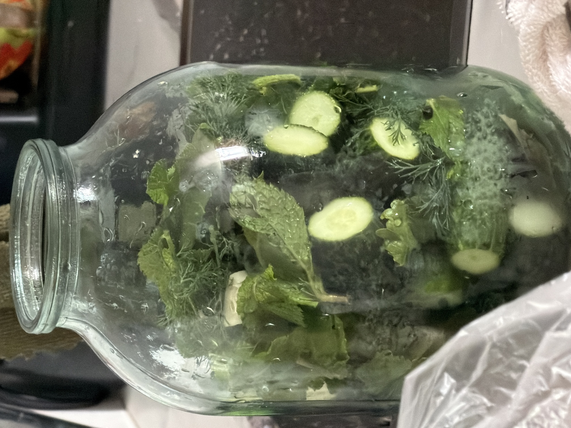 A large glass jar filled with sliced cucumbers, dill, and mint is positioned on a countertop. The jar is condensation-covered, indicating a cool or humid environment. A white plastic bag is visible in the lower left corner, and a beige towel is present in the lower right. The background is blurred but appears to be a domestic setting, possibly a kitchen, with hints of other objects and surfaces. The specific location in Novoalexandrovka, Russia, cannot be determined from the visual information provided.