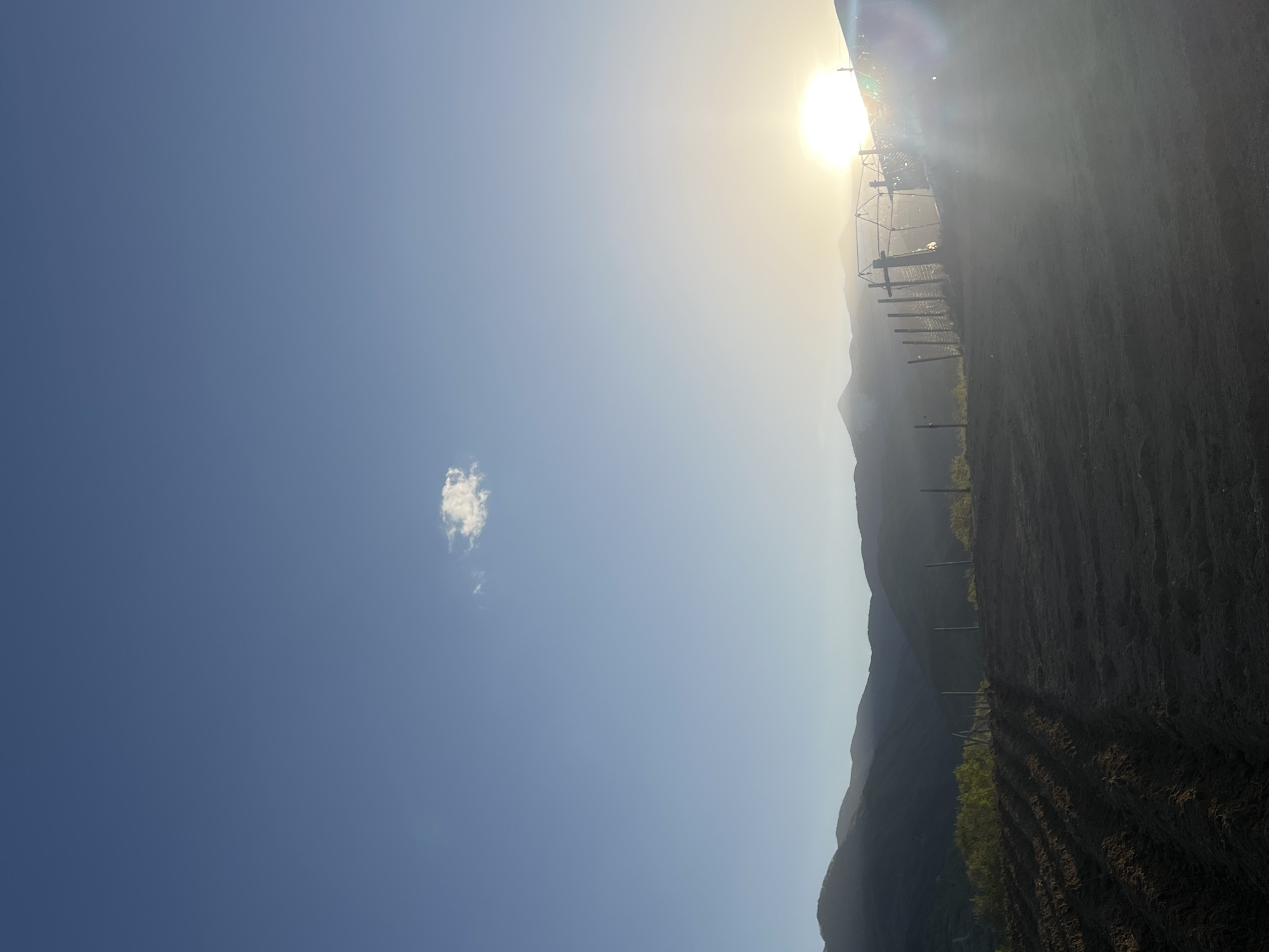 A landscape photograph captures a serene rural scene, likely at sunrise or sunset, featuring a vast sky, distant mountains, and an agricultural field. The sun, a brilliant golden orb, dominates the upper right portion of the frame, casting a strong glare and lens flare that diffuses a warm light across the hazy sky. The sky transitions from a clear, deep blue on the left to a lighter, golden hue near the sun. A single, small white cumulus cloud is visible in the upper left quadrant of the sky.
Below the expansive sky, a range of dark, silhouetted mountains stretches across the mid-ground, their peaks forming a gentle horizon line. In the foreground, an agricultural field, possibly recently tilled or planted, extends from the bottom of the image towards the mountains. Distinct rows are visible across the field, with areas of green vegetation growing along some of these lines, particularly towards the left. A series of wooden posts are interspersed within the field, leading towards the mid-ground, suggesting a fence or support structure for crops. A metallic structure, potentially farm equipment or part of an irrigation system, is partially visible near the bright sun on the right.
No people are present in the image. The scene, located in or around Kornitsa, Bulgaria, conveys a sense of tranquility and highlights the natural beauty of the agricultural landscape under the dramatic lighting of a low sun.