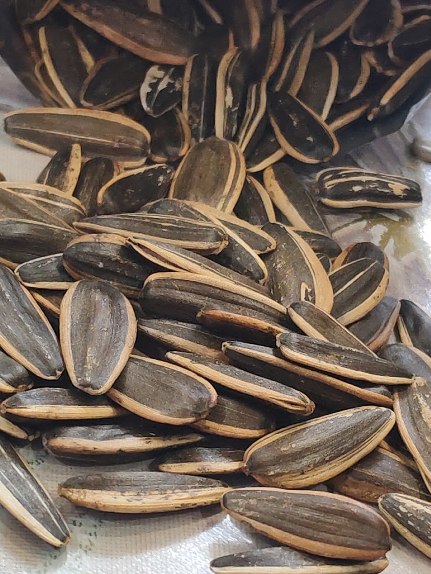 A close-up shot depicts a pile of sunflower seeds. The seeds have dark brown shells with light brown edges. They appear to be scattered on a light-colored surface. The image does not depict any location, city, people, or actions.