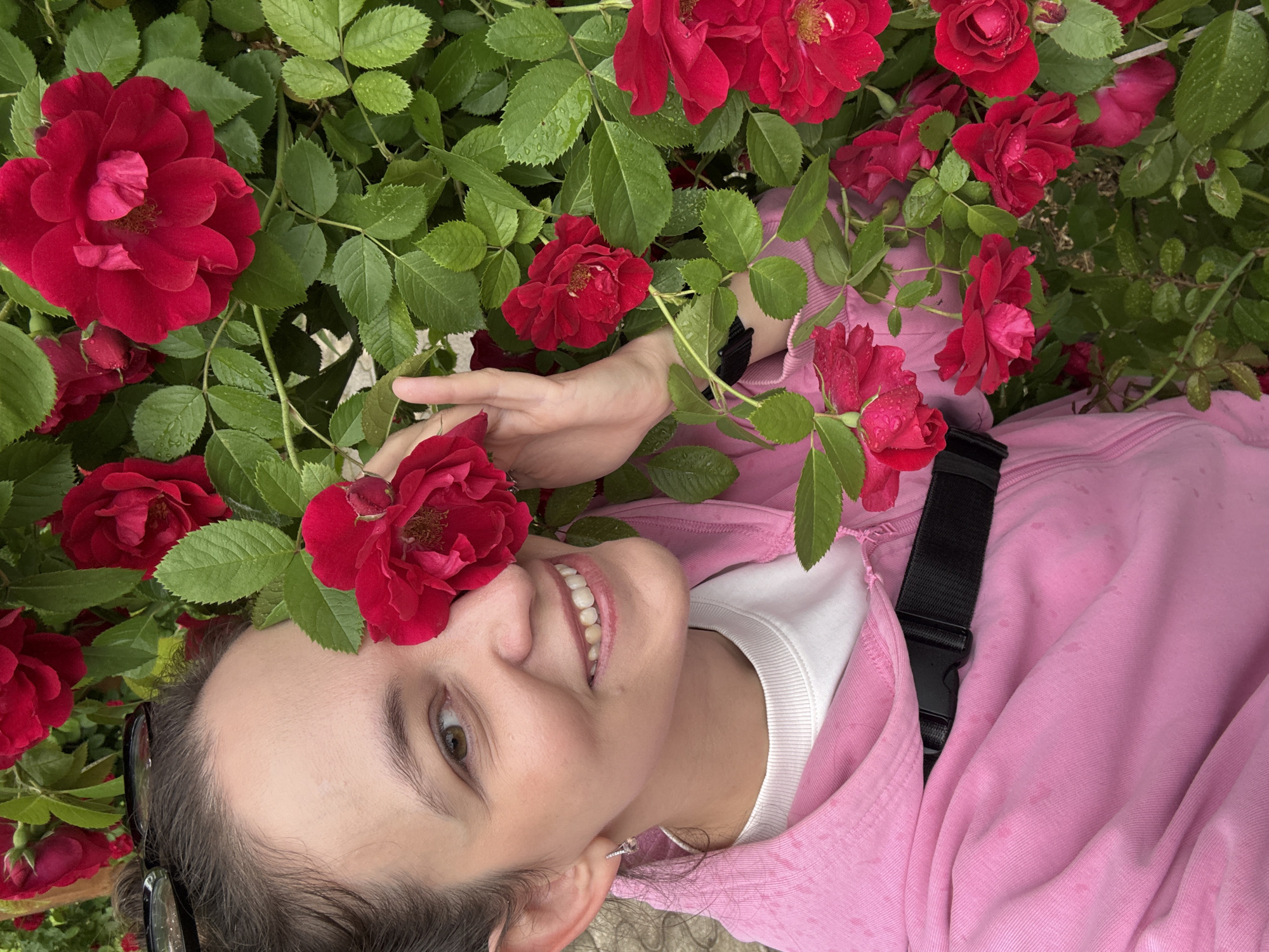 A person lies among red roses and green leaves, their head tilted back. They wear a pink hooded sweatshirt over a white t-shirt and have a black strap with a buckle across their chest. A single red rose is positioned over their right eye, partially obscuring it. Their left hand is raised, touching another red rose near their face. The person is smiling, looking at the camera with their eyes open. Their teeth are visible, and they have light brown eyes. The scene appears to be outdoors, possibly in a garden, with the roses looking fresh, some with water droplets on their petals, suggesting it might have recently rained or the area is dewy. The lighting suggests daytime.