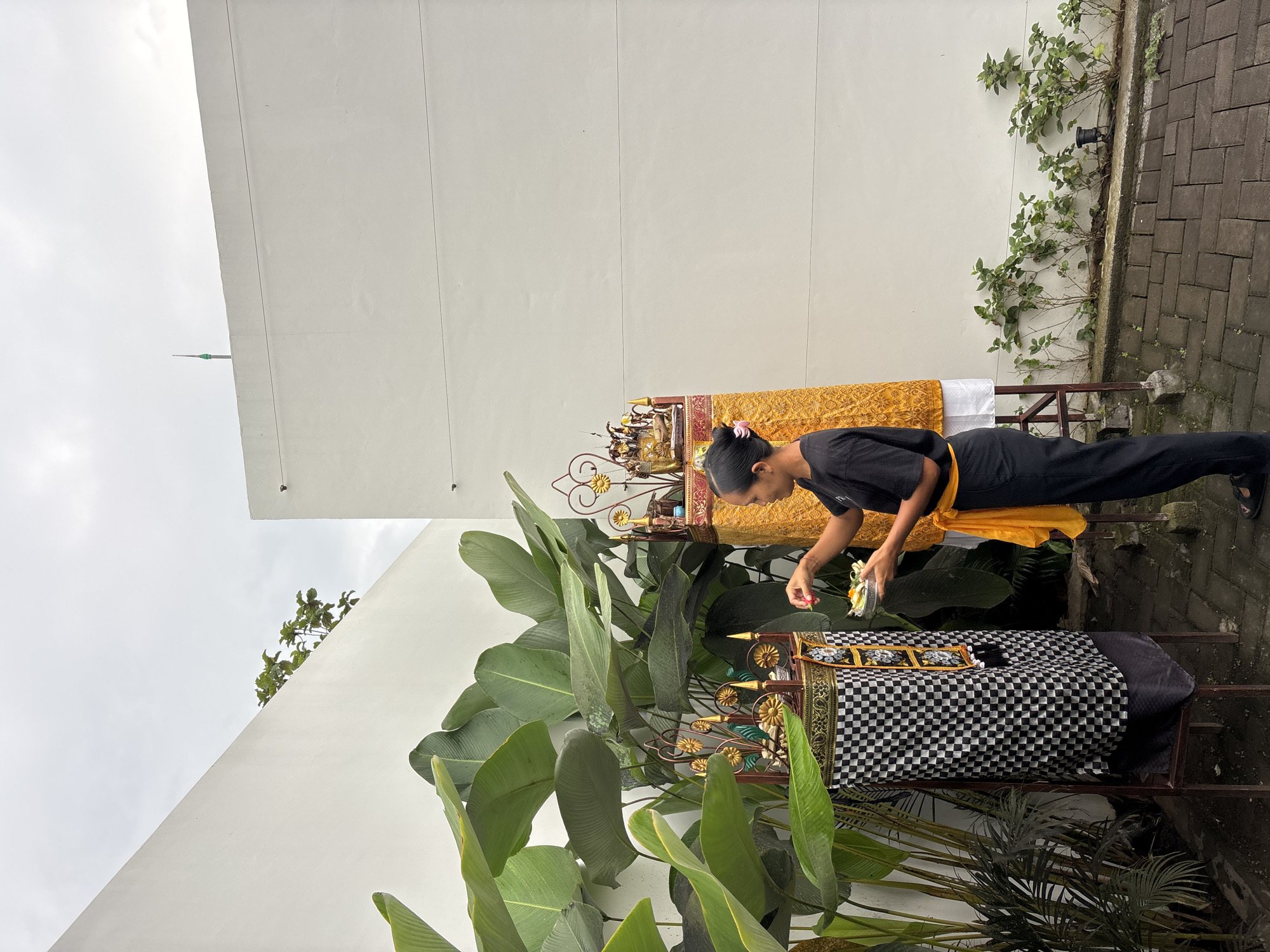In Ubud District, Indonesia, a Balinese woman performs a ritual in front of a shrine. She is dressed in a black t-shirt and black pants with a yellow sash tied around her waist. She holds a small silver bowl in her right hand, containing offerings, and uses her left hand to place an offering on the shrine. The shrine is decorated with a checkered cloth and a golden fabric. Large green leaves from tropical plants frame the scene. The background consists of stark white walls, a paved courtyard, and a cloudy sky with a distant tower.